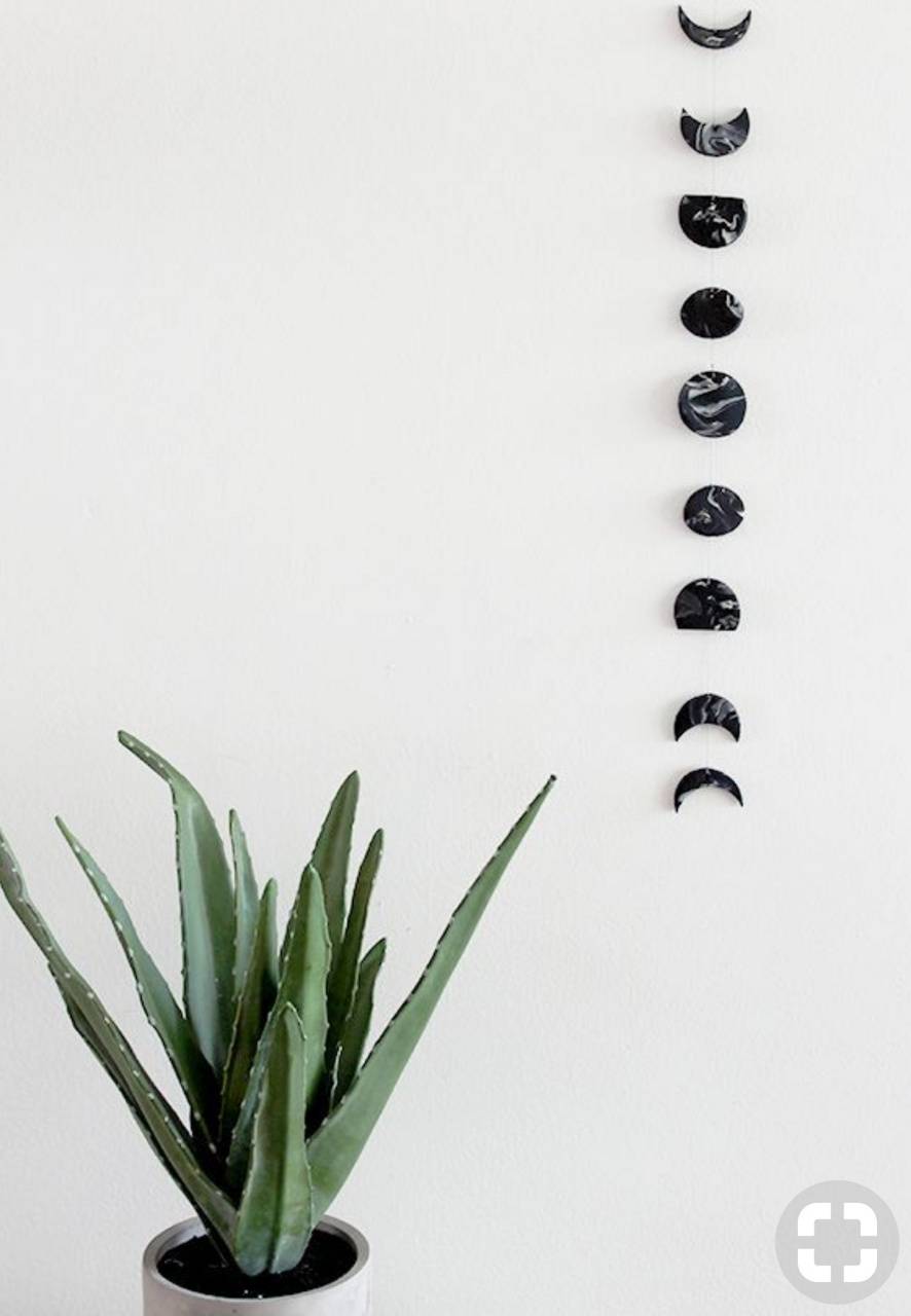 Tumblr plants wallpaper