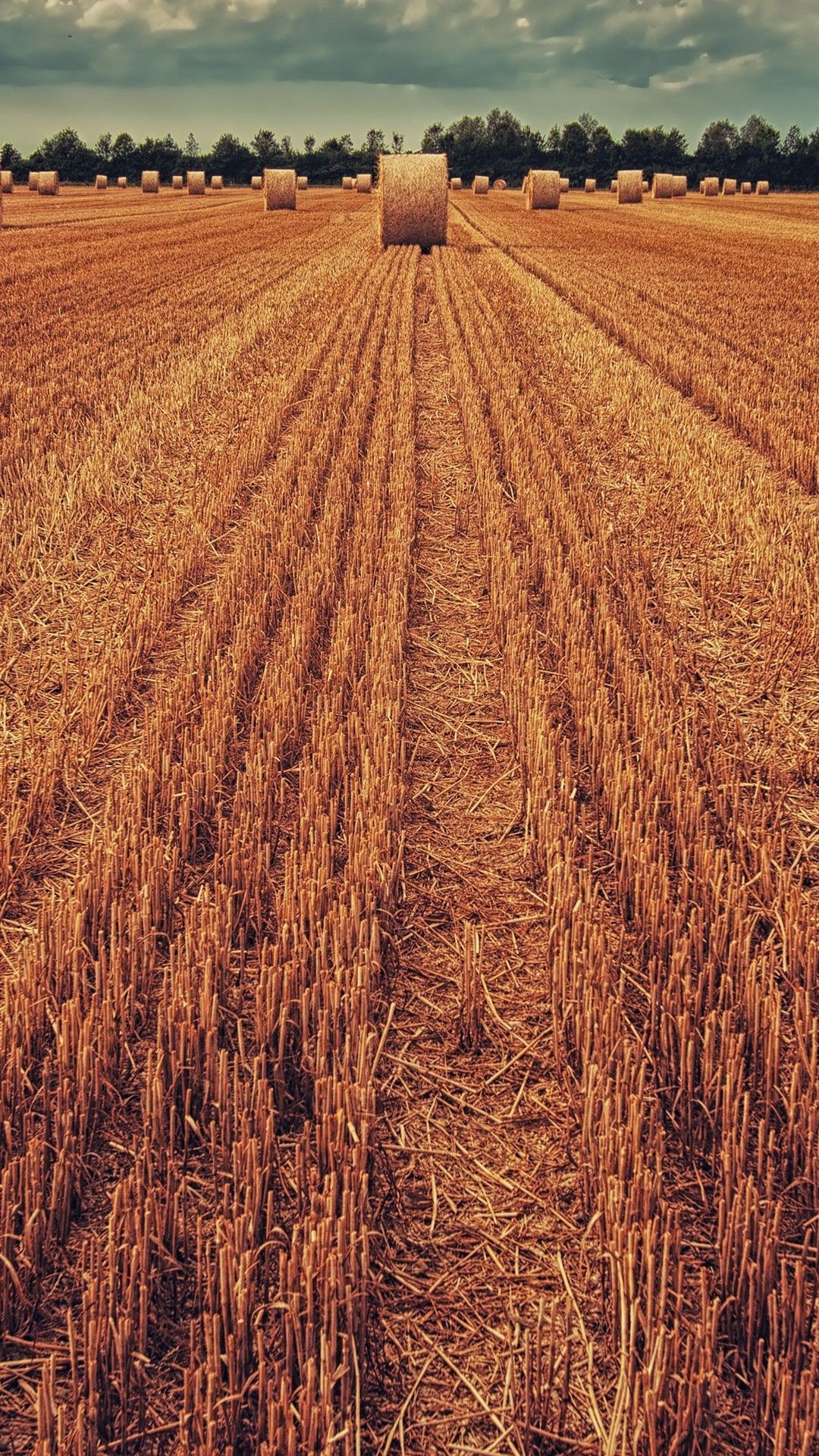Wheat Field, Hay 1080x1920 IPhone 8 7 6 6S Plus Wallpaper