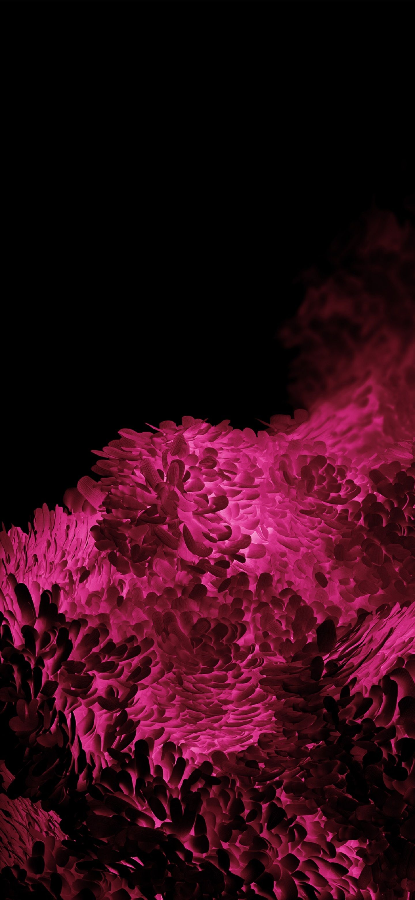 Samsung Galaxy S20 Wallpaper