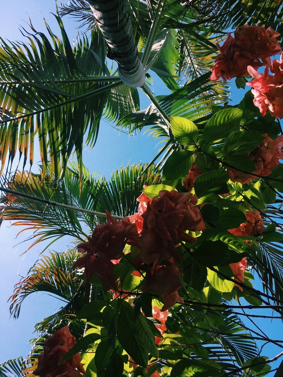 YEAH, SURE. WHATEVER