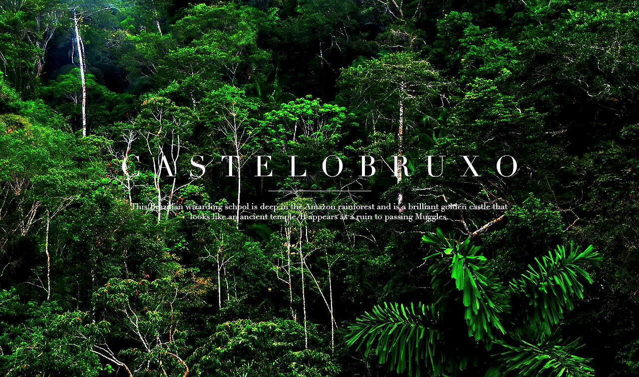 Rain Forest Tumblr Wallpaper