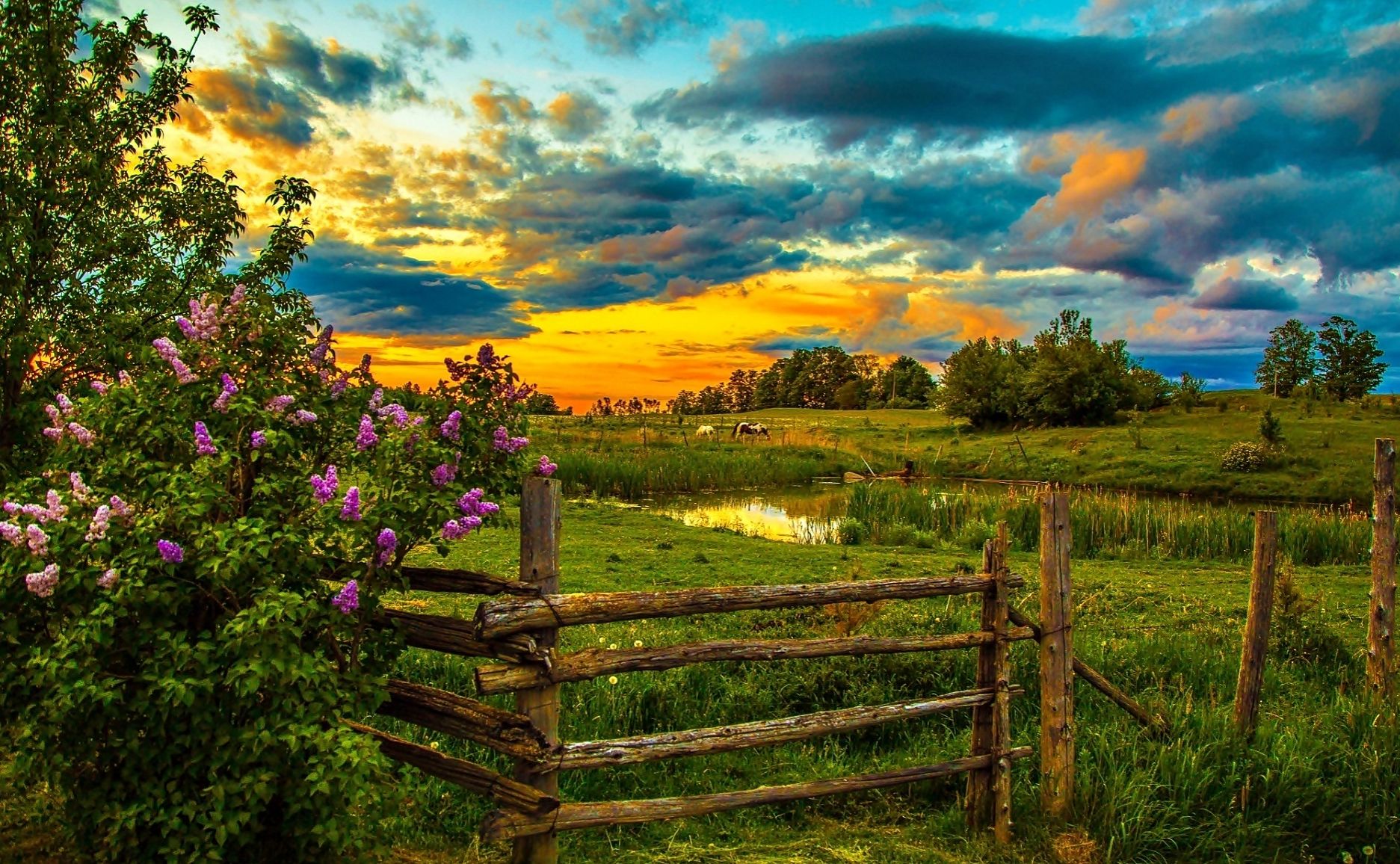 Spring Farm at Sunset Wallpaper and Background Imagex1156