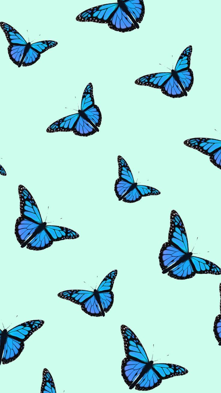 Aesthetic Tumblr Blue Butterfly Emoji Wallpaper