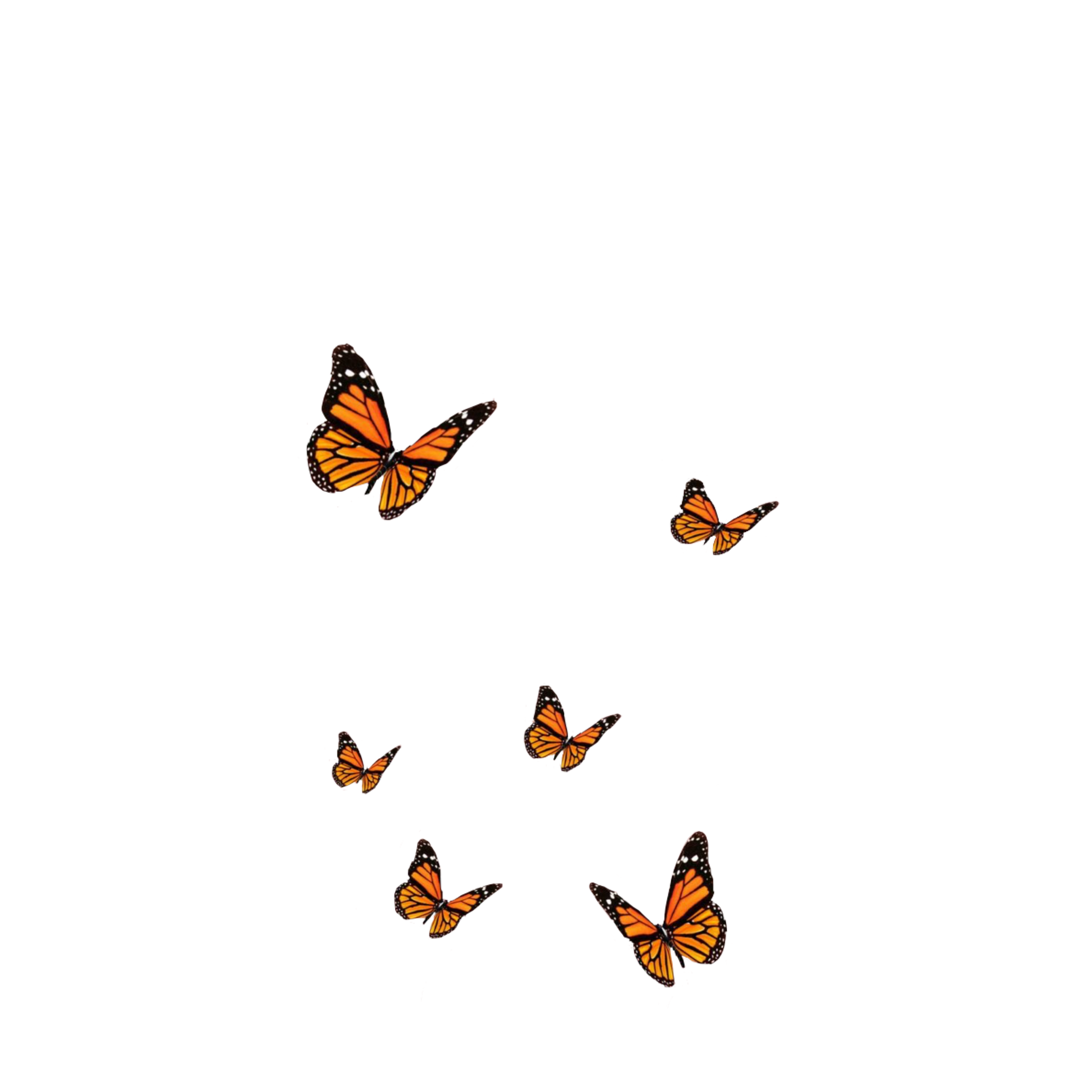 vsco butterflys background wallpaper Sticker