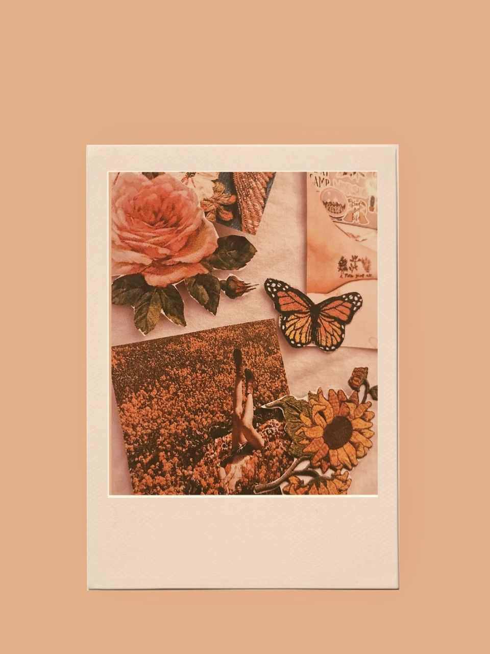 iphone, tumblr, butterfly and vsco