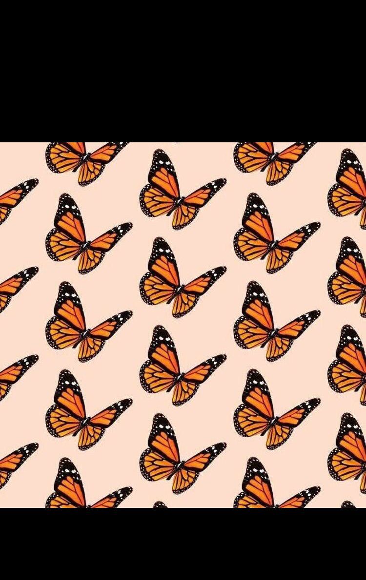 Love this back round. Butterfly