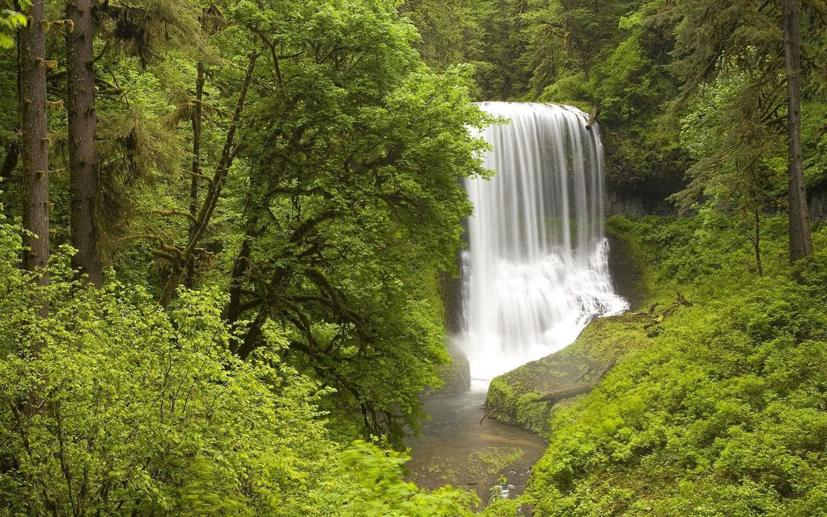 Silver Falls State Park Wallpaper Waterfalls Nature Wallpaper