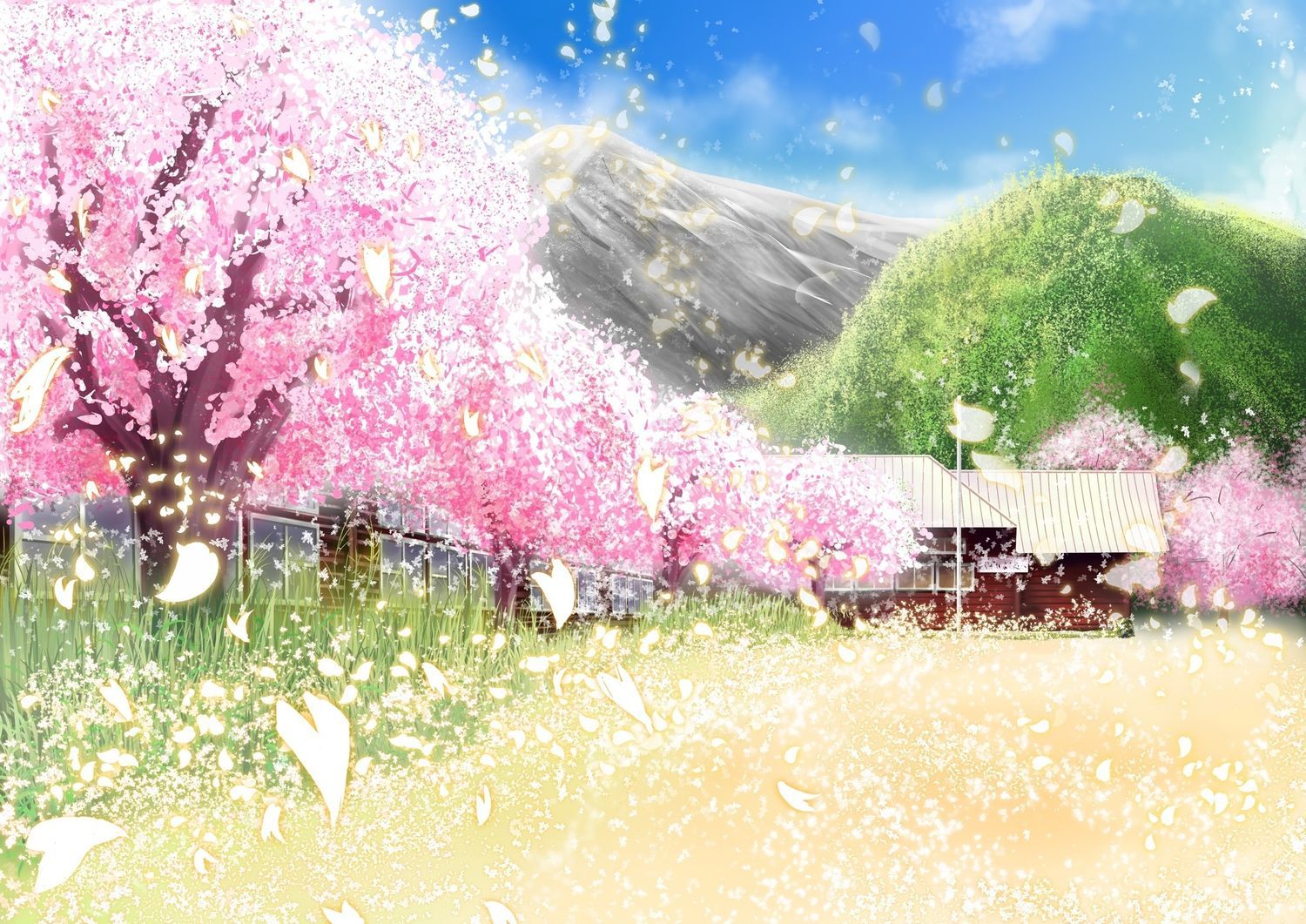 building cherry blossoms flowers grass landscape original petals
