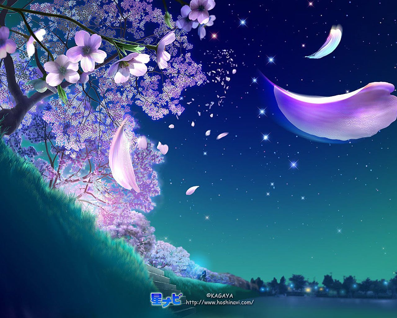 cherry blossoms flowers kagaya petals scenic stars. Night sky