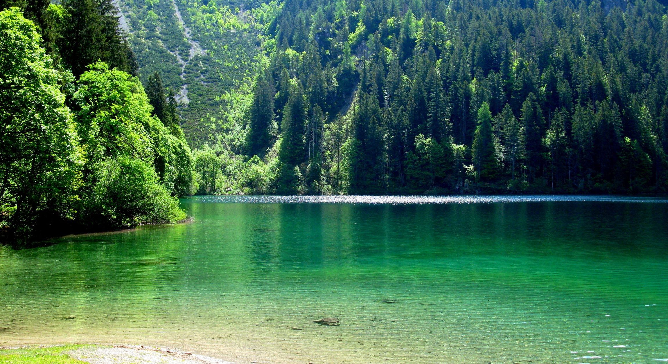 lakeshore, spring, Alps, Brenta Dolomites, nature park, beautiful