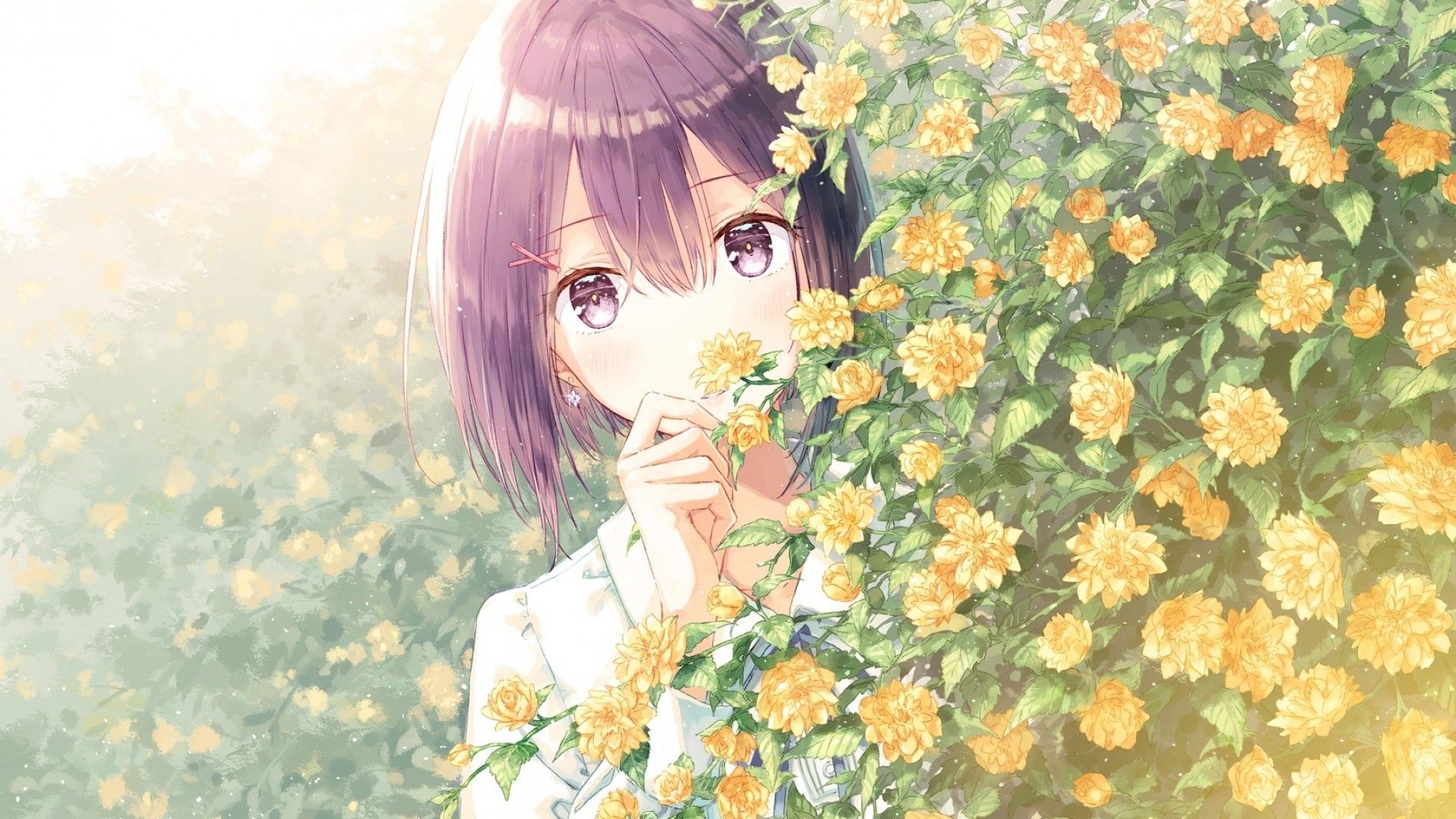 Download 1920x1080 Anime Girl, Yellow Flowers, Short Purple Hair