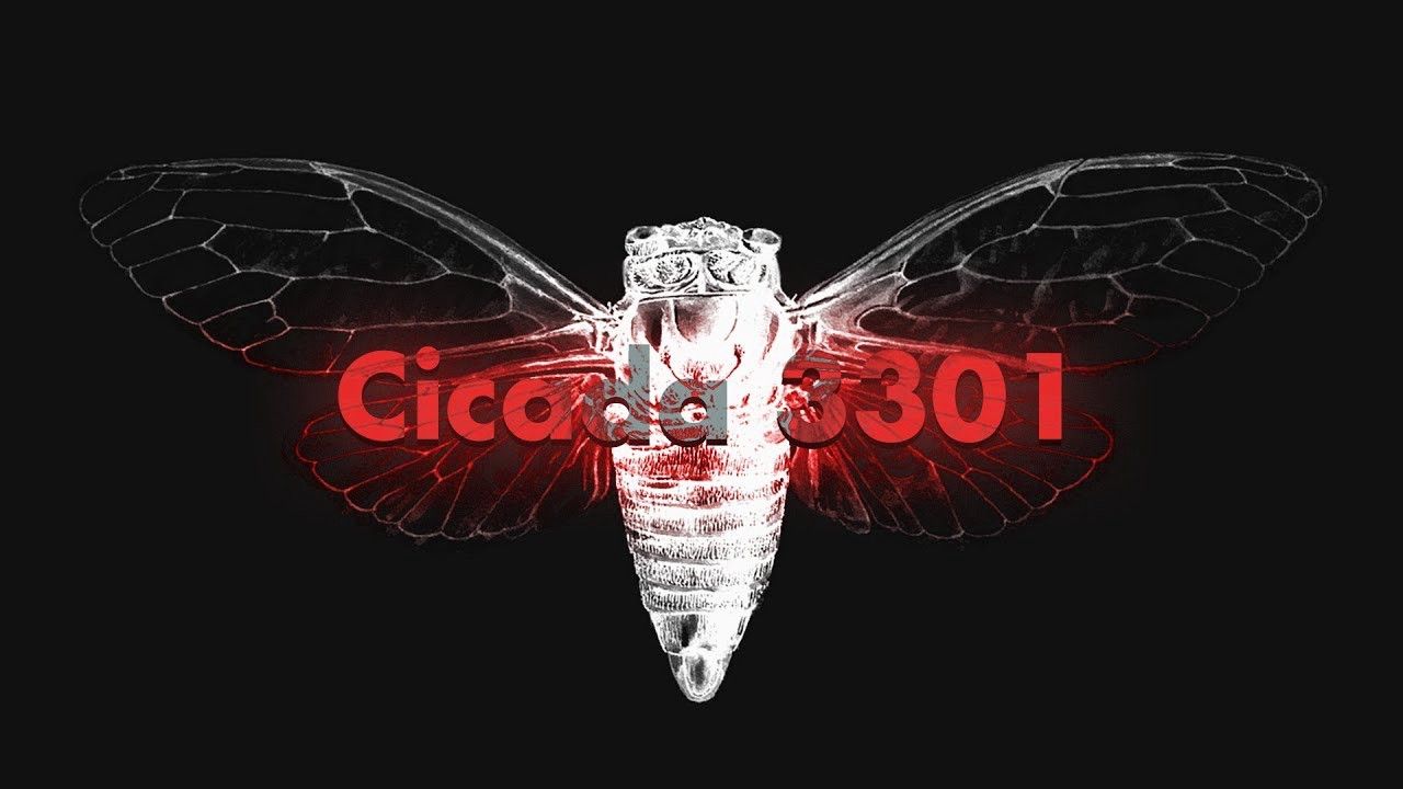 Cicadas Wallpapers - Wallpaper Cave
