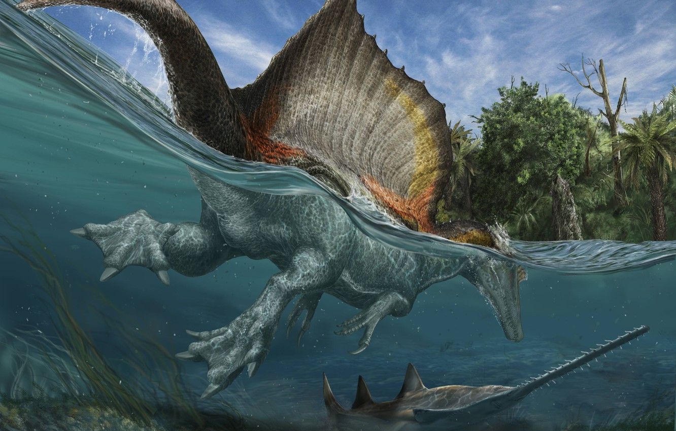 Wallpaper water, fish, dinosaur, prehistoric animals image
