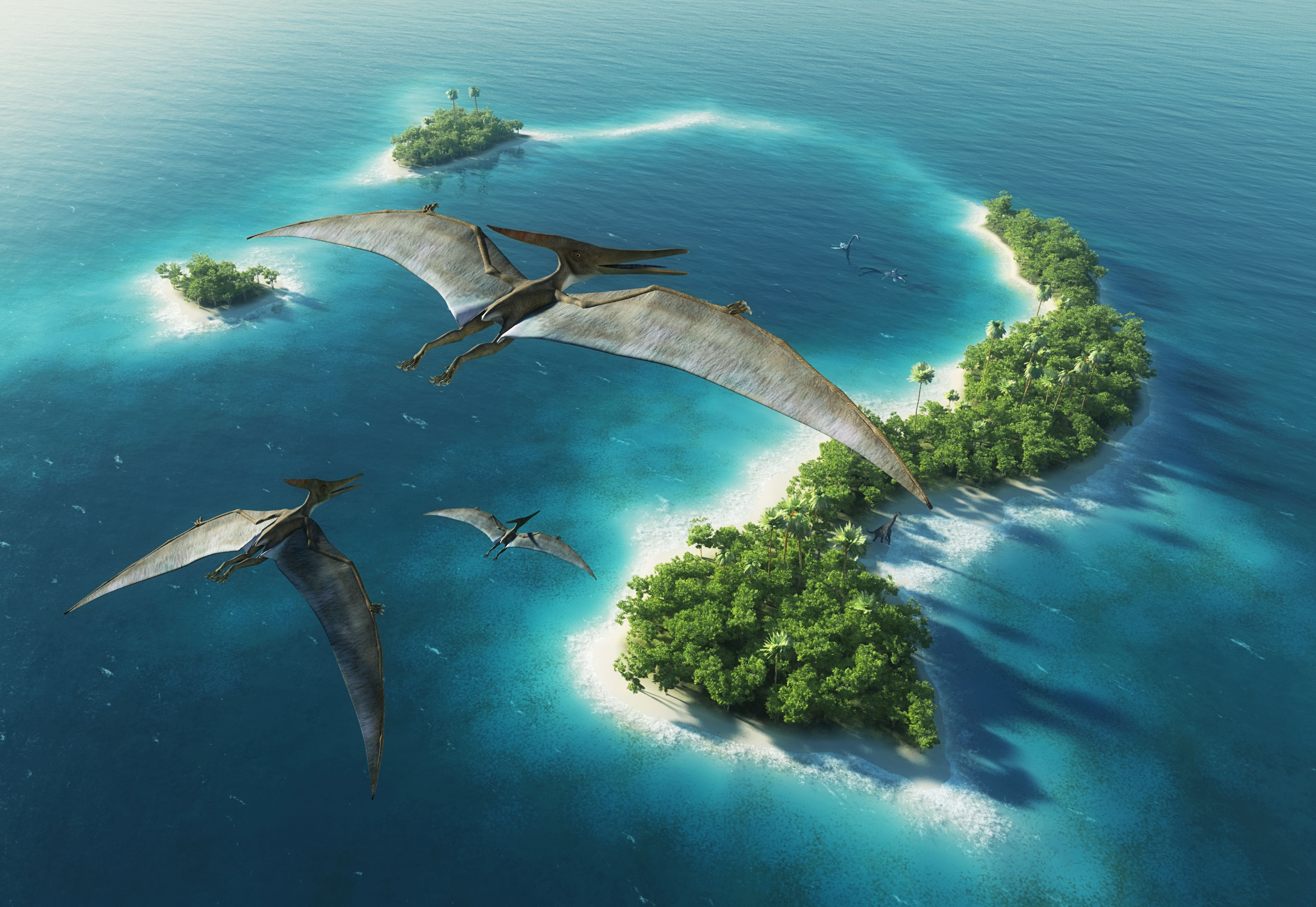 Pteranodon 5k Retina Ultra HD Wallpaper. Background Image