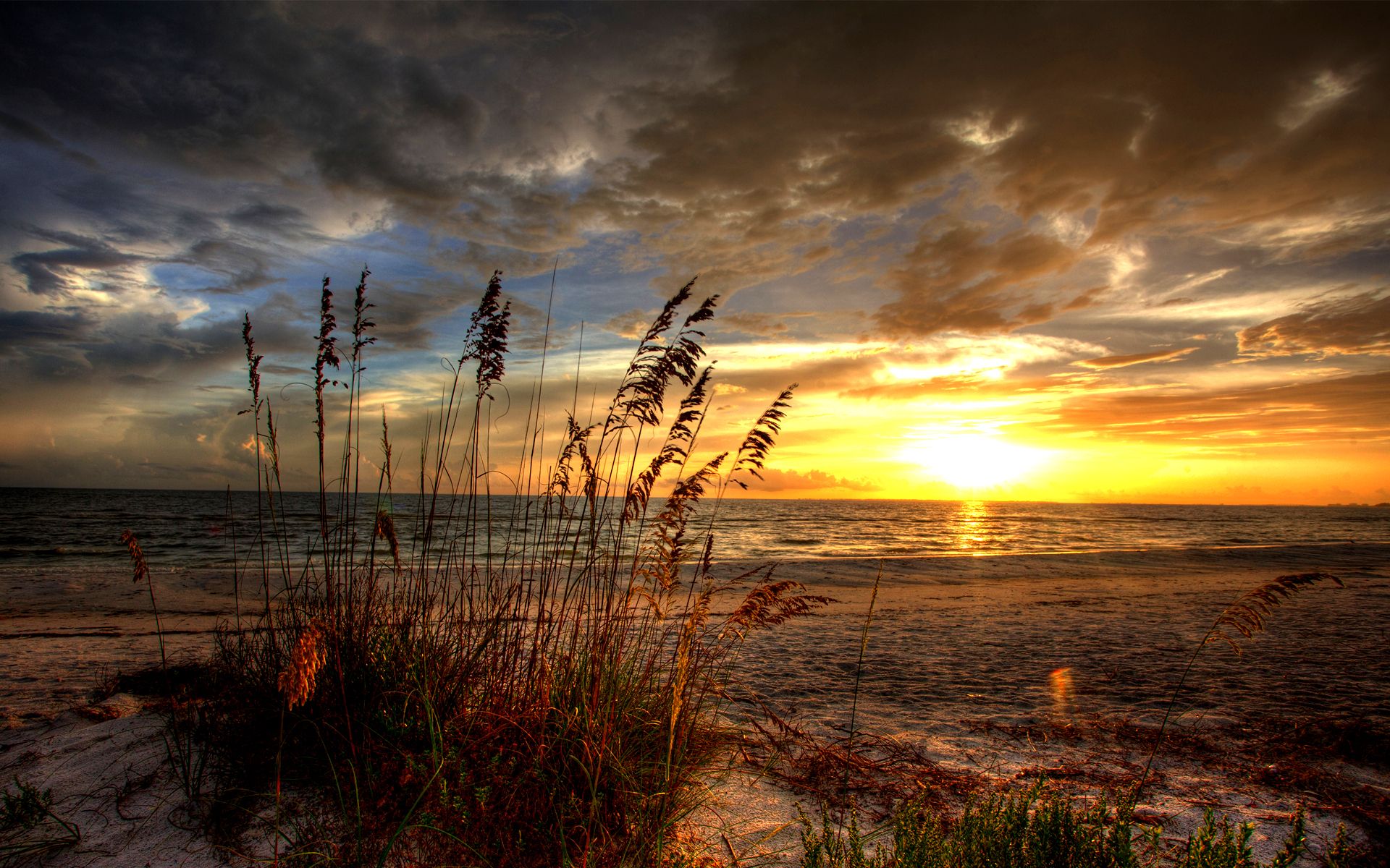 Free download Sunrise Landscape Scenic HDR Ocean Beach Sand Cloud
