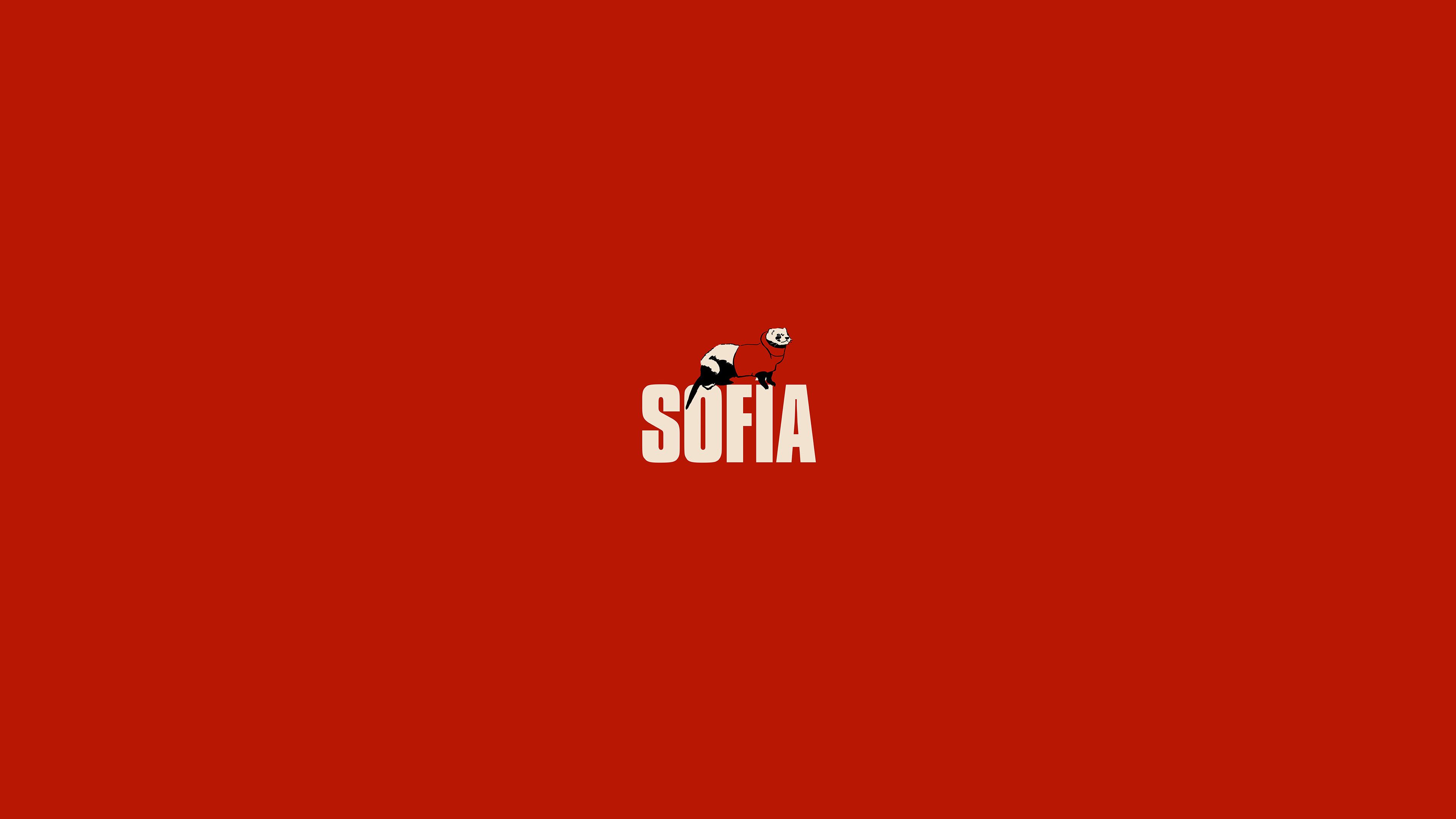 Sofia Money Heist 1080P Laptop Full HD Wallpaper, HD