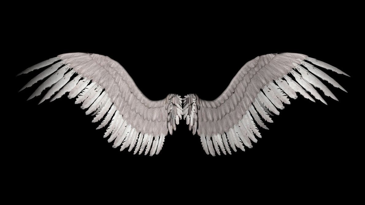 angel wings. Wings wallpaper, Angel wings png, Wings