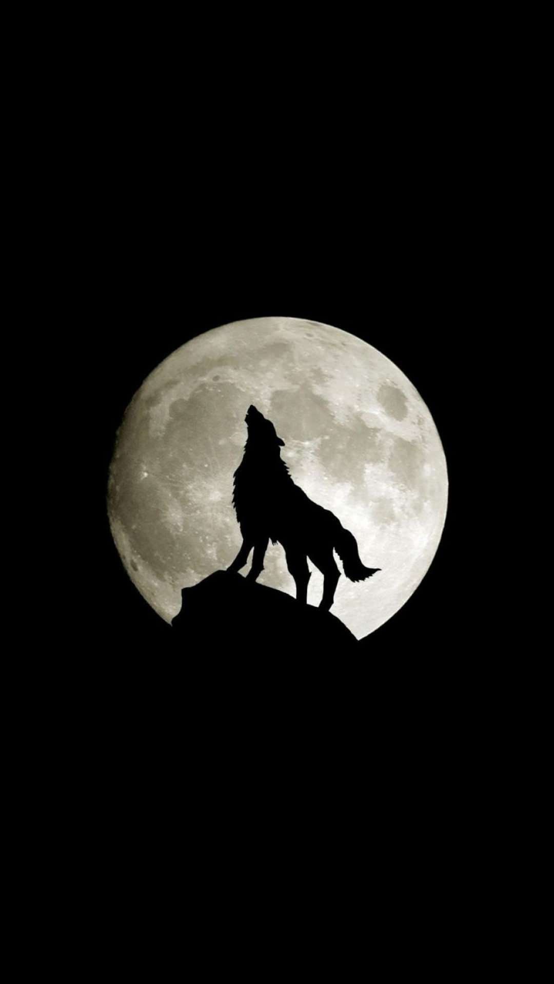 Amoled Wallpaper 10. Wolf wallpaper, Wolf image, Wolf moon