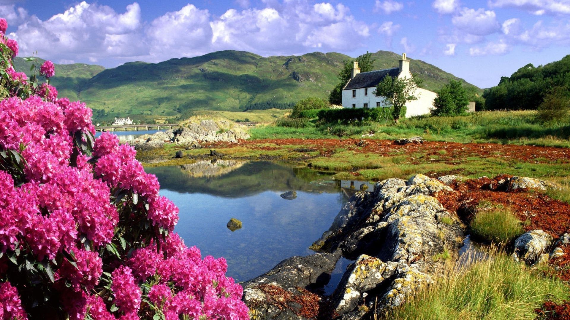 Scotland coast cottage flowers mountains[1920x1080]