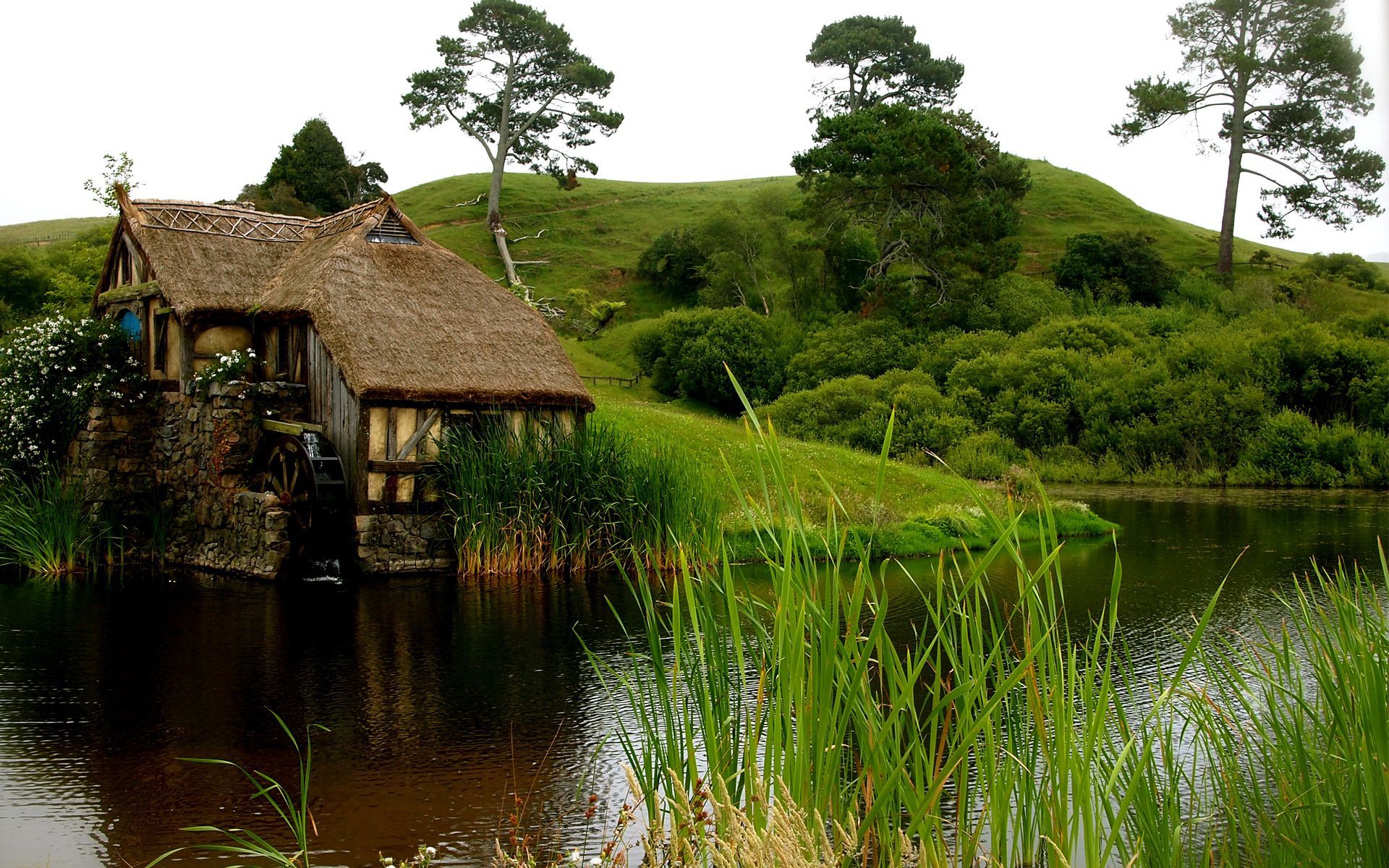 House mill pond water grass flowers hill lakes nature landscapes