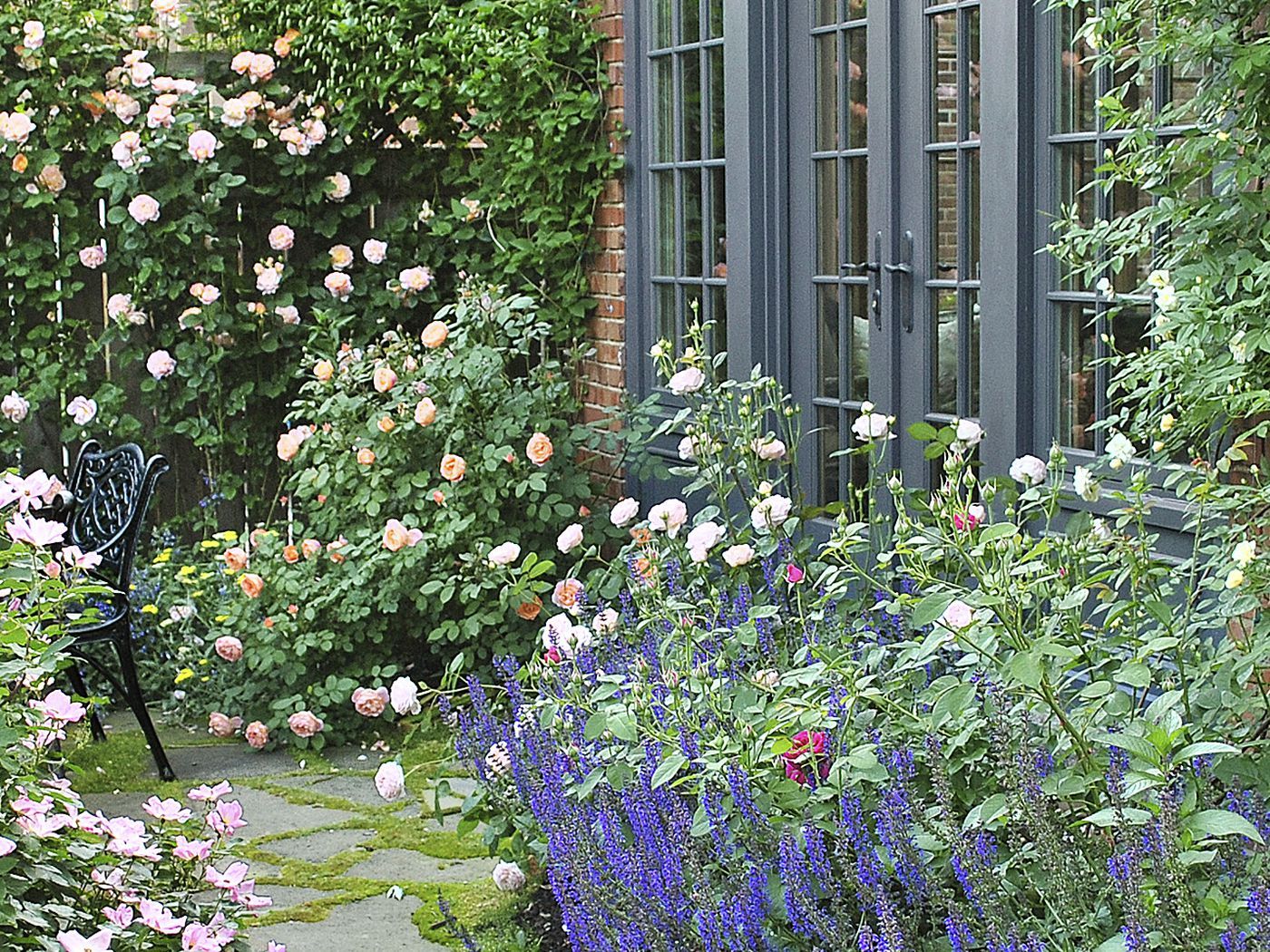 From Blah Lawn to Backyard Rose Garden Paradise Old House