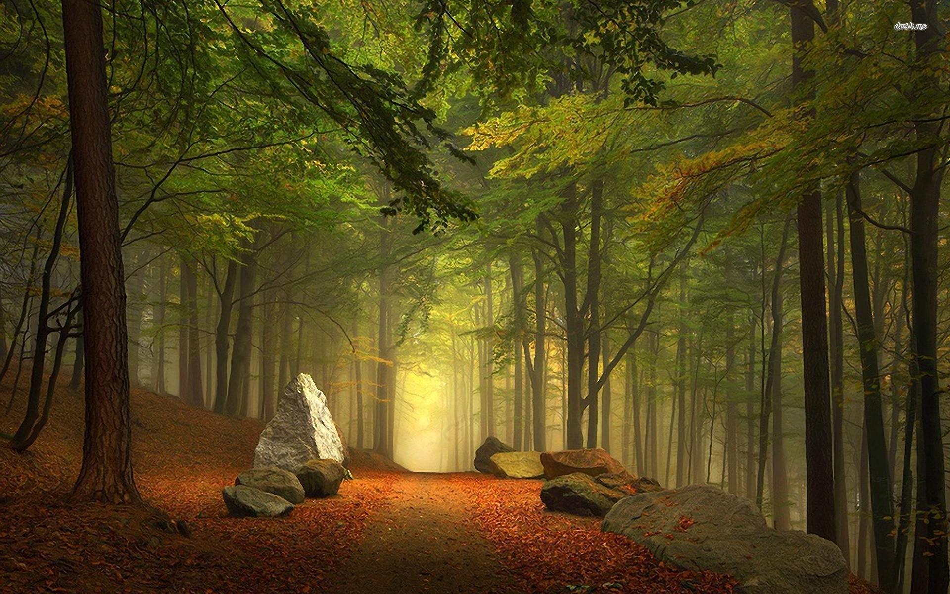 Forest Alley Wallpapers - Wallpaper Cave