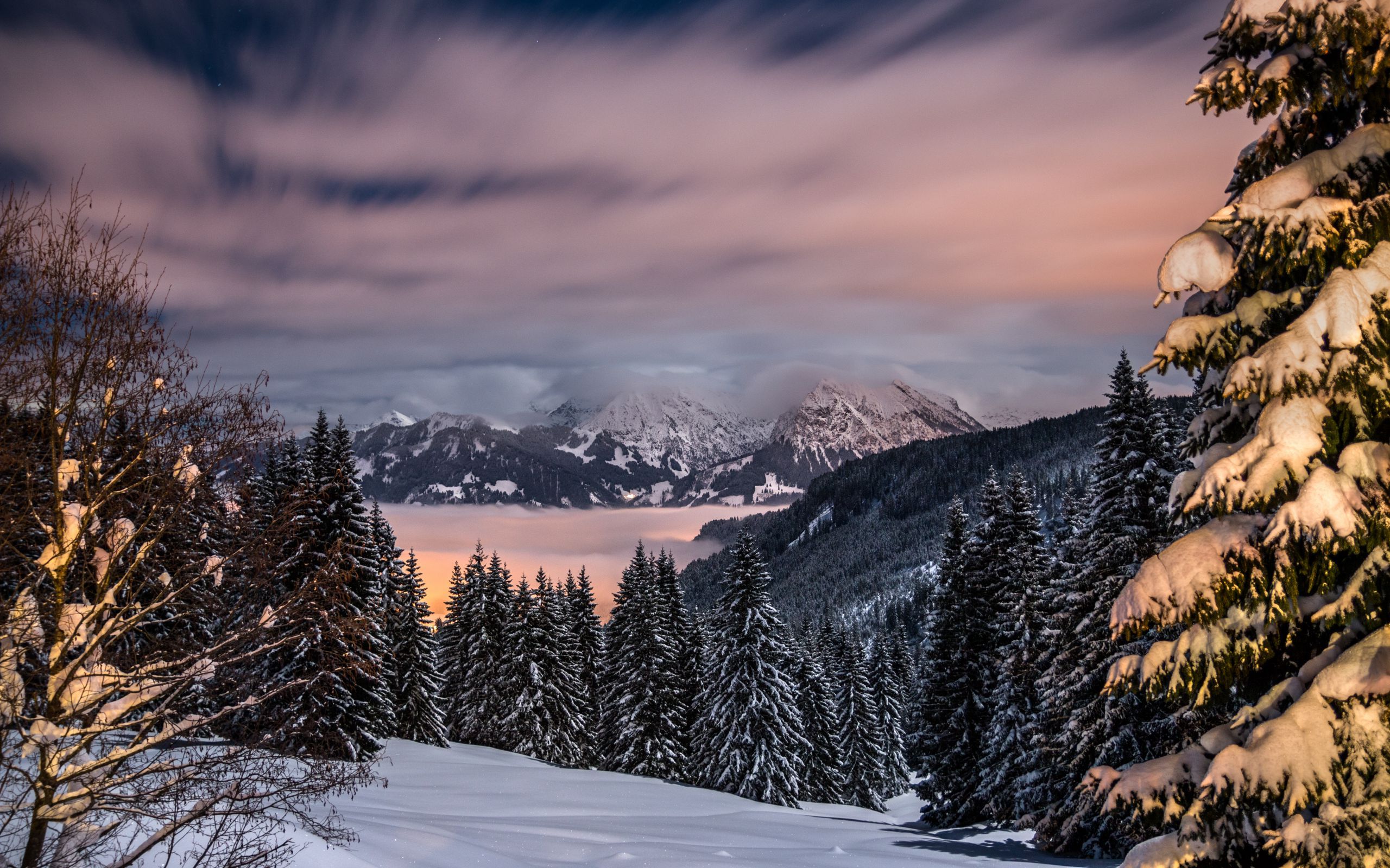 Download wallpaper 2560x1600 winter, mountains, snow, trees