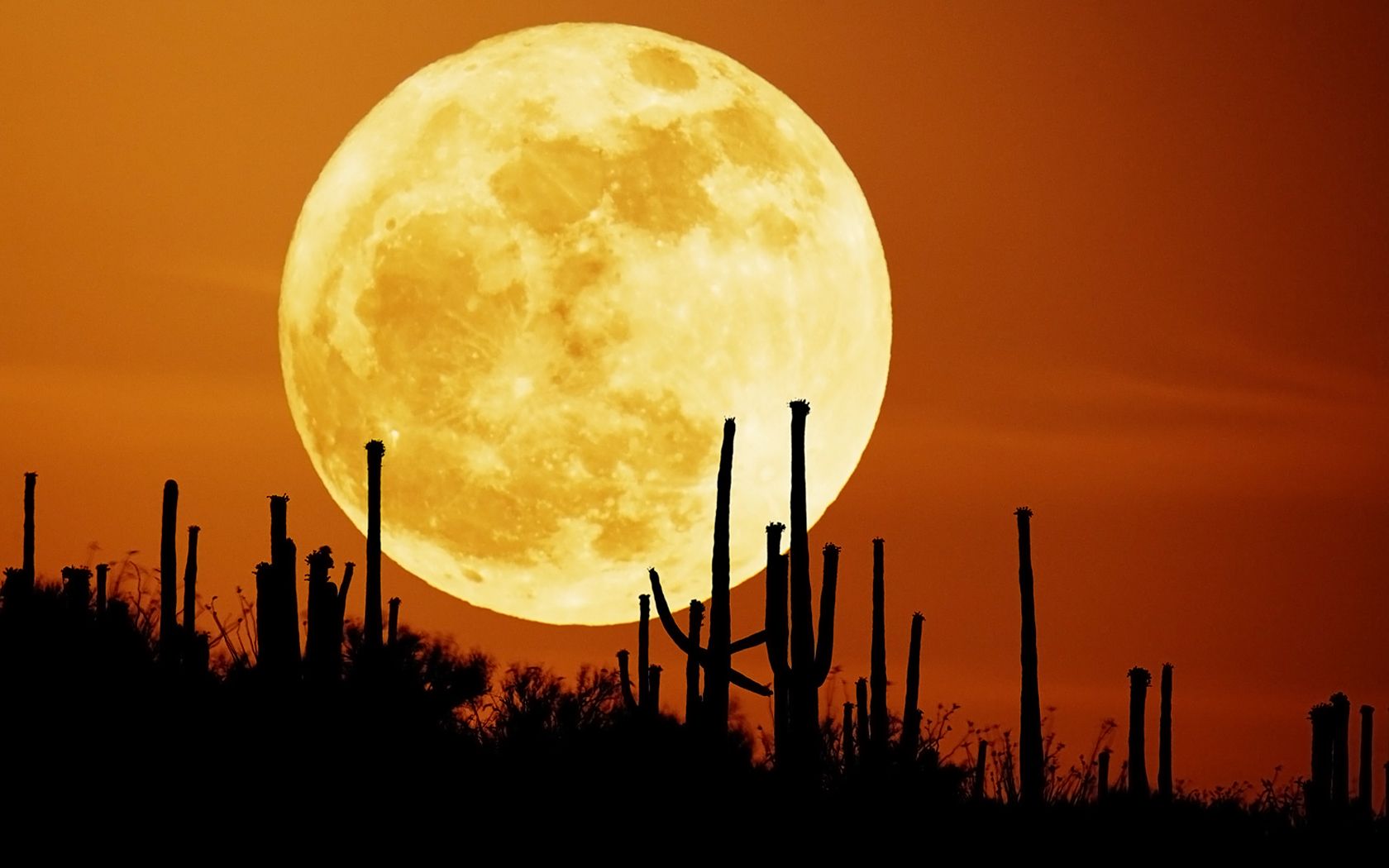 Download wallpaper: orange Sky and moon, download photo, moon