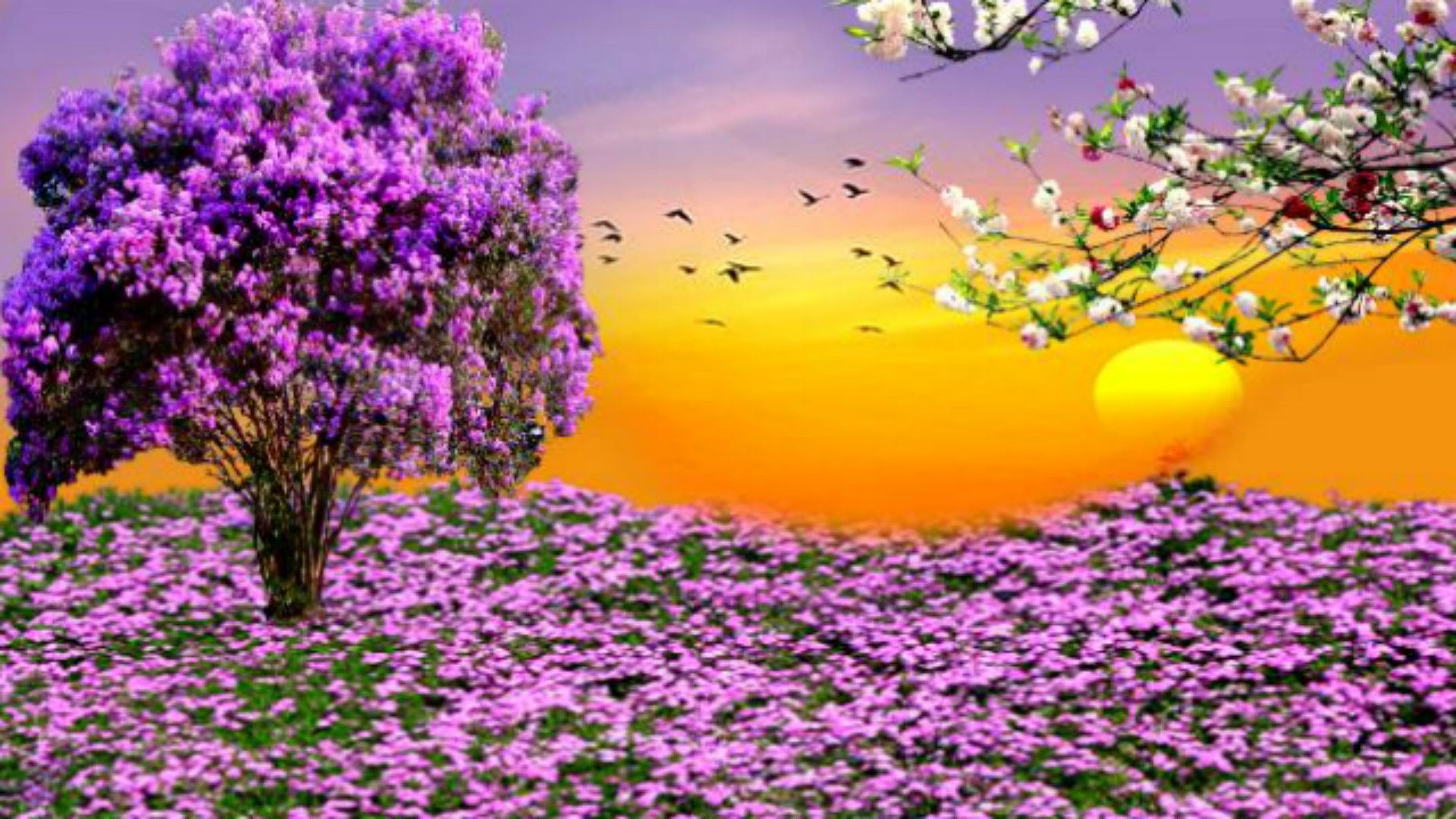 Spring Background for Computer
