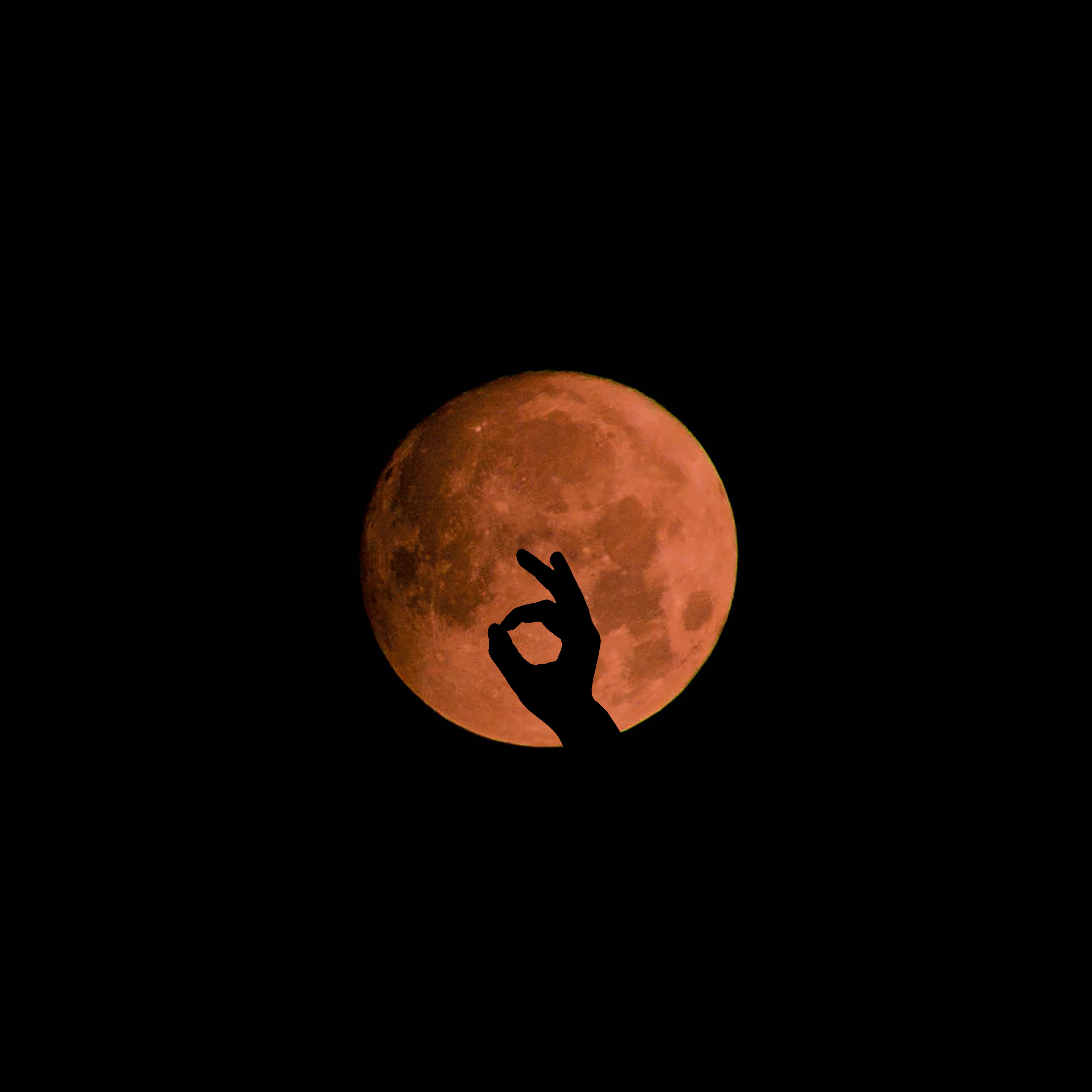 Download wallpaper 5000x5000 moon, hand, gesture, dark, night HD