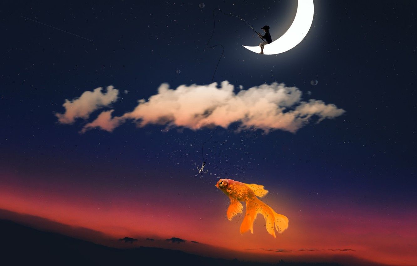 Wallpaper the sky, clouds, sunset, the moon, fishing, fish, stars