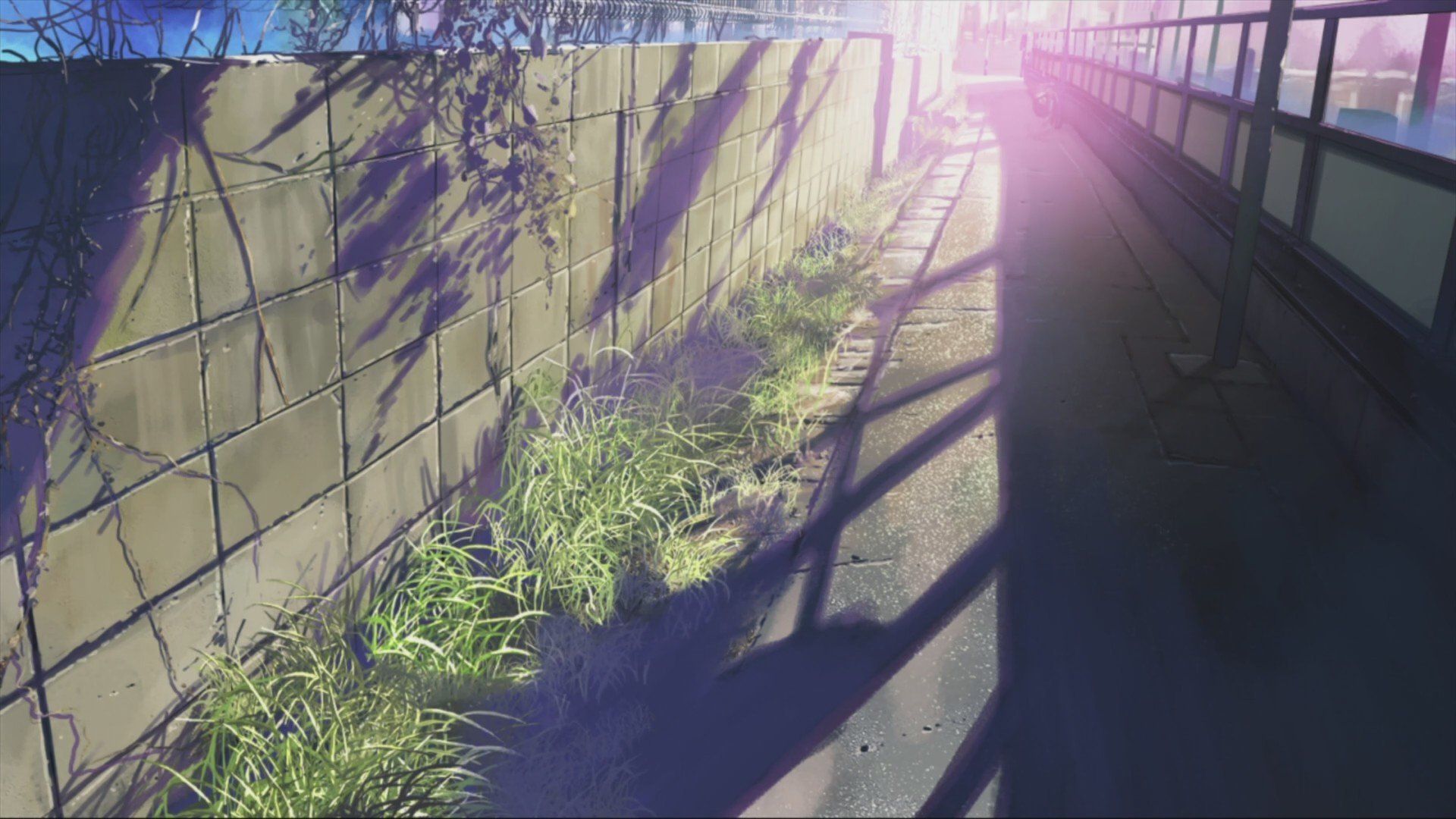 anime, 5 Centimeters Per Second, Makoto Shinkai HD Wallpaper