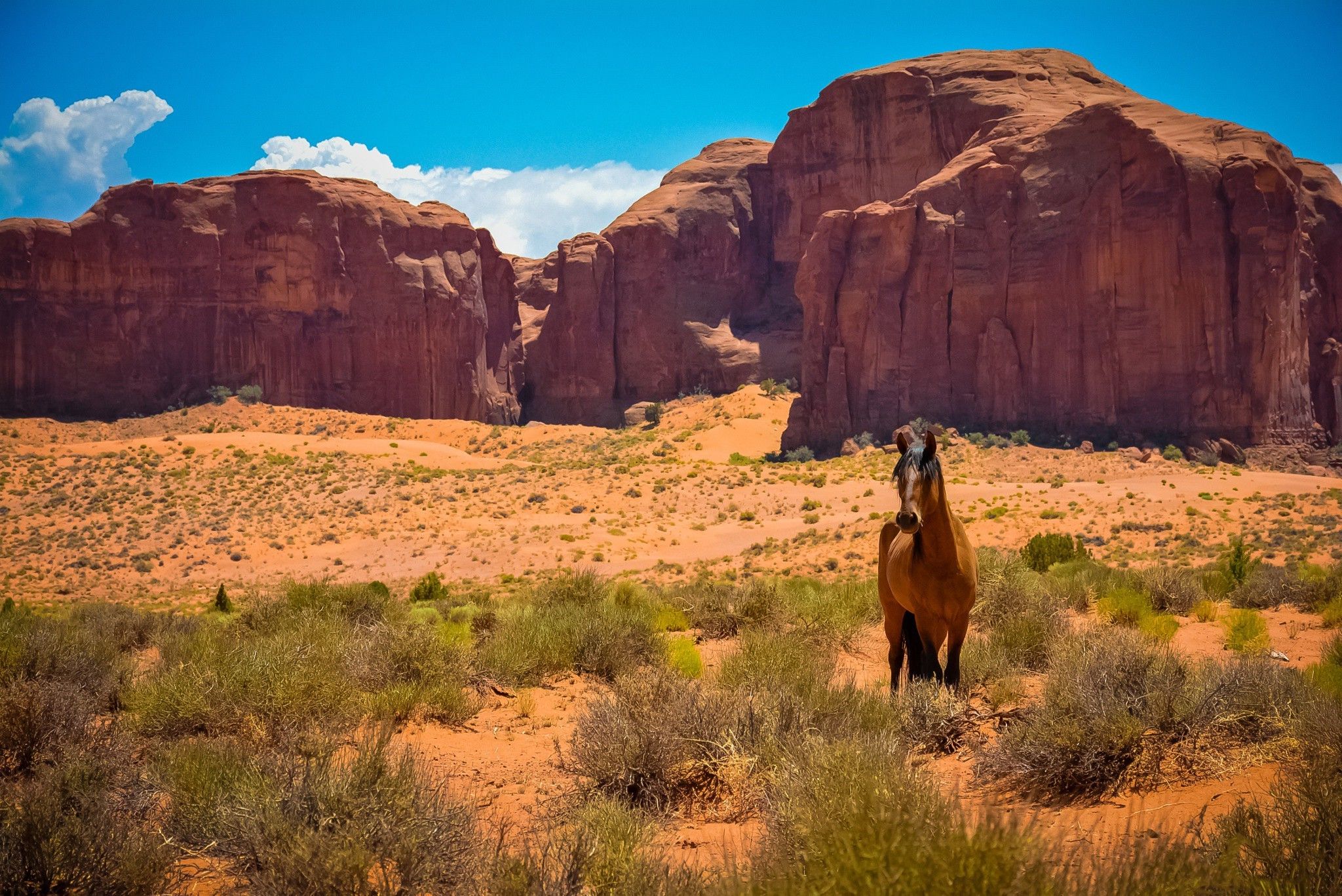 nature, Sandstone, Horse, Desert, Landscape Wallpaper HD