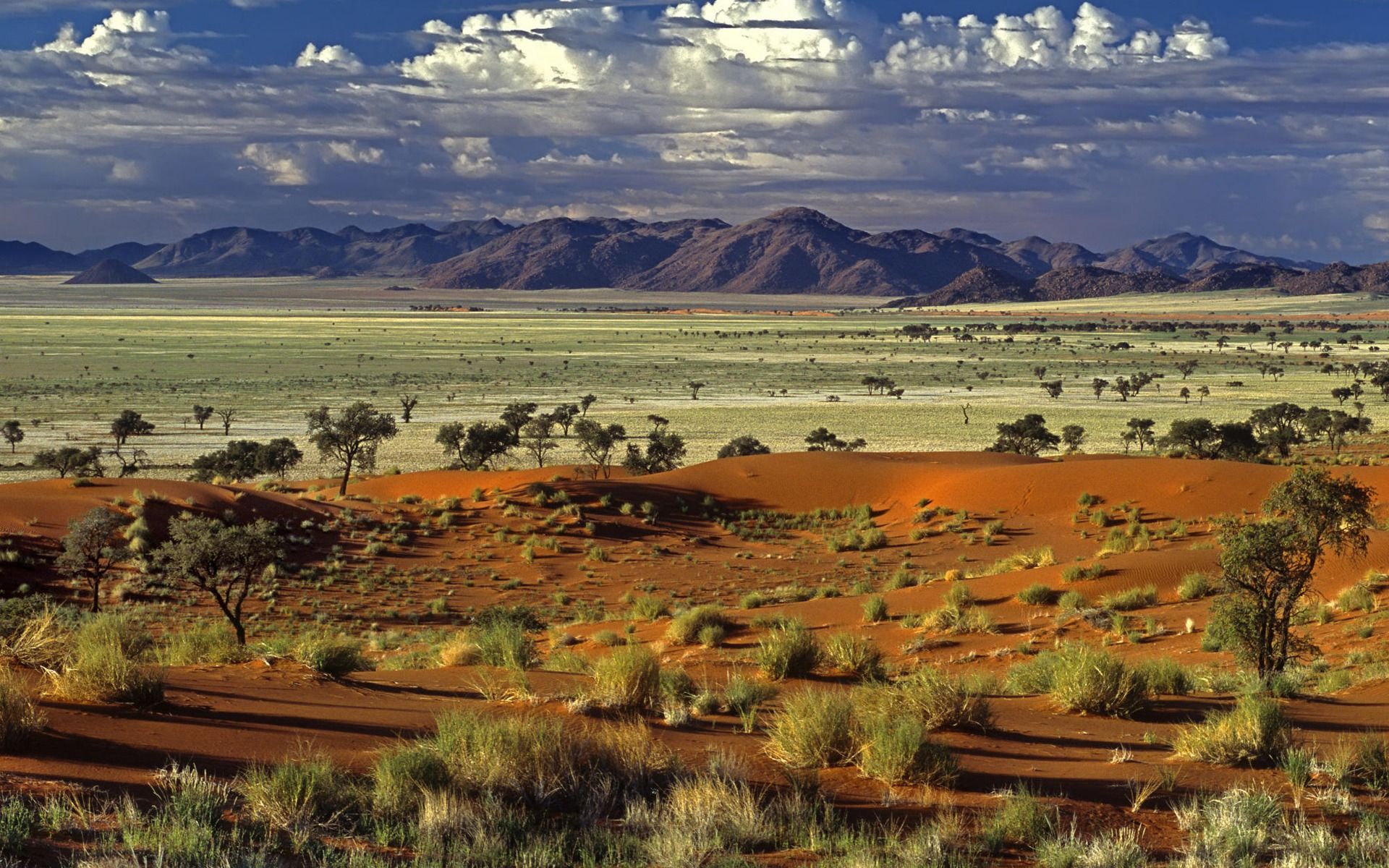 Free download wallpaper widescreen tokkie nature desert landscape