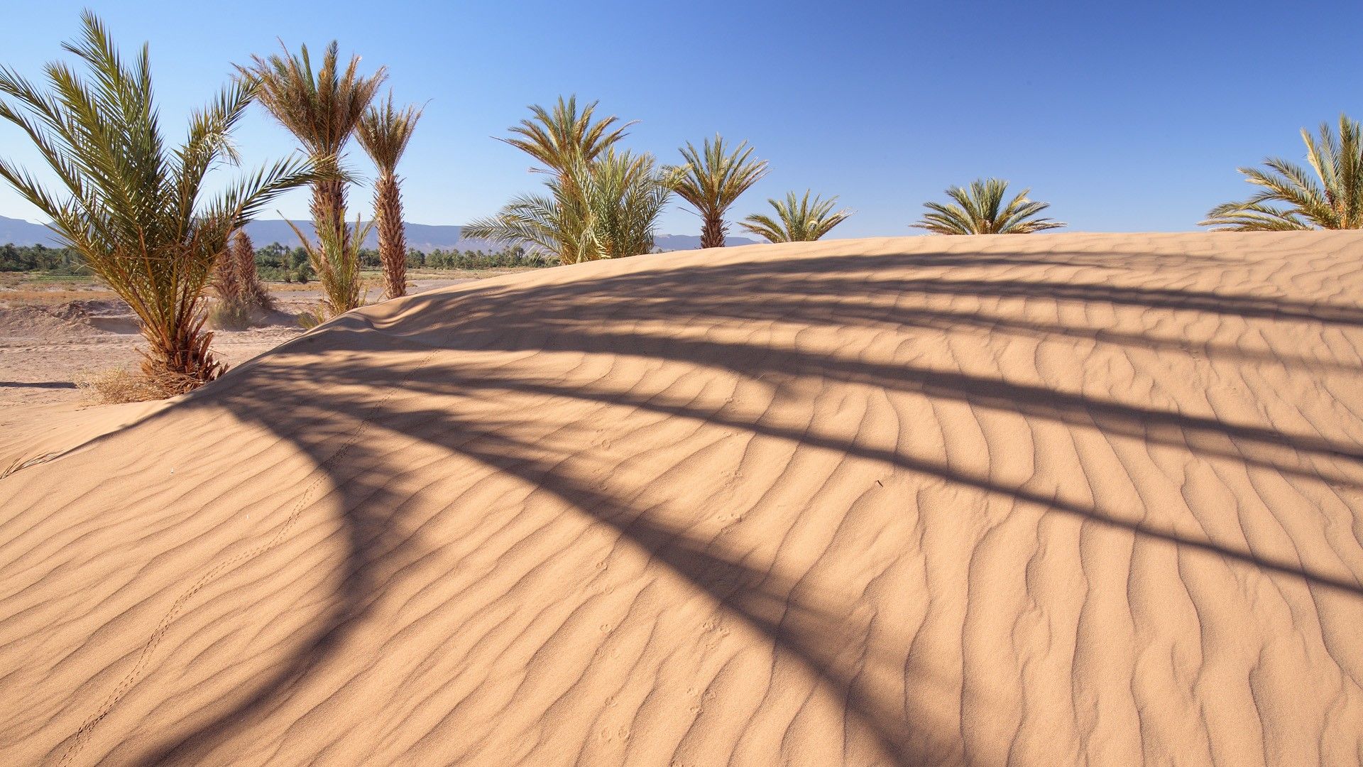 Desert Landscape HD Wallpaperx1080