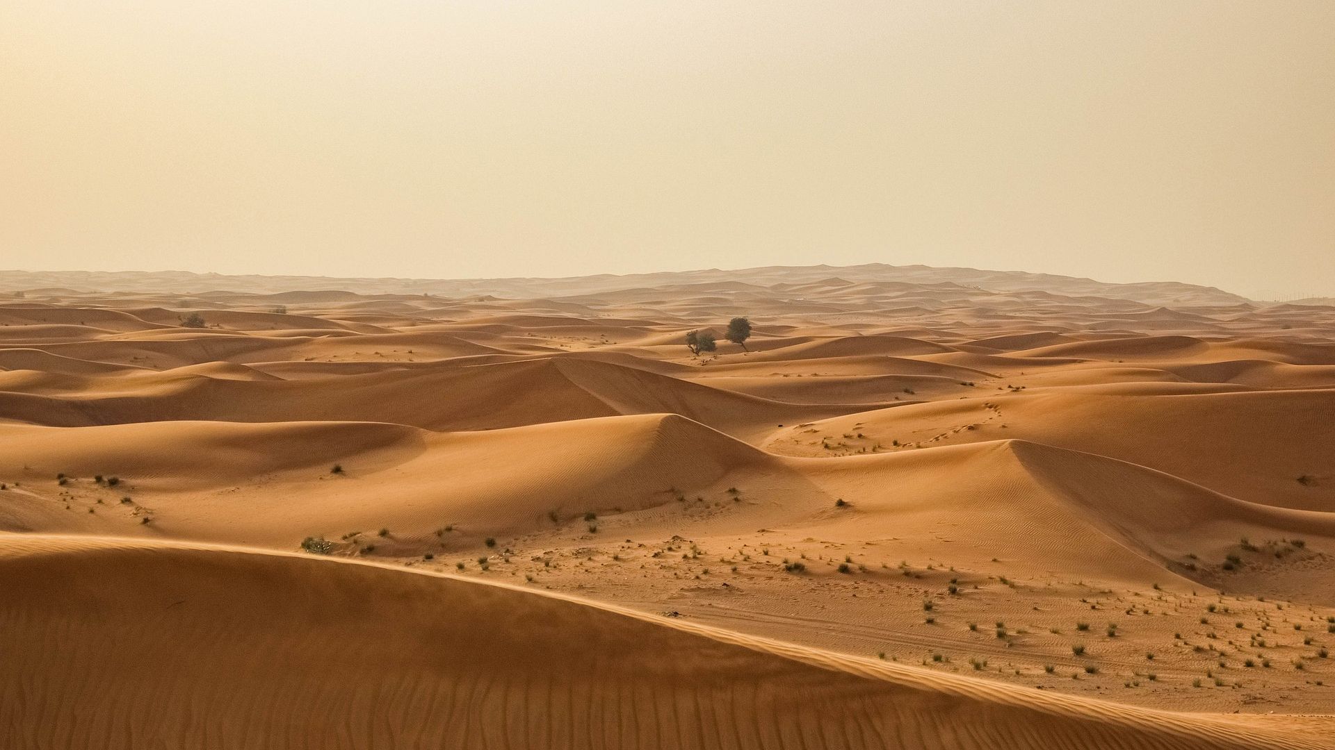 Desert Sand Landscape HD Wallpaper