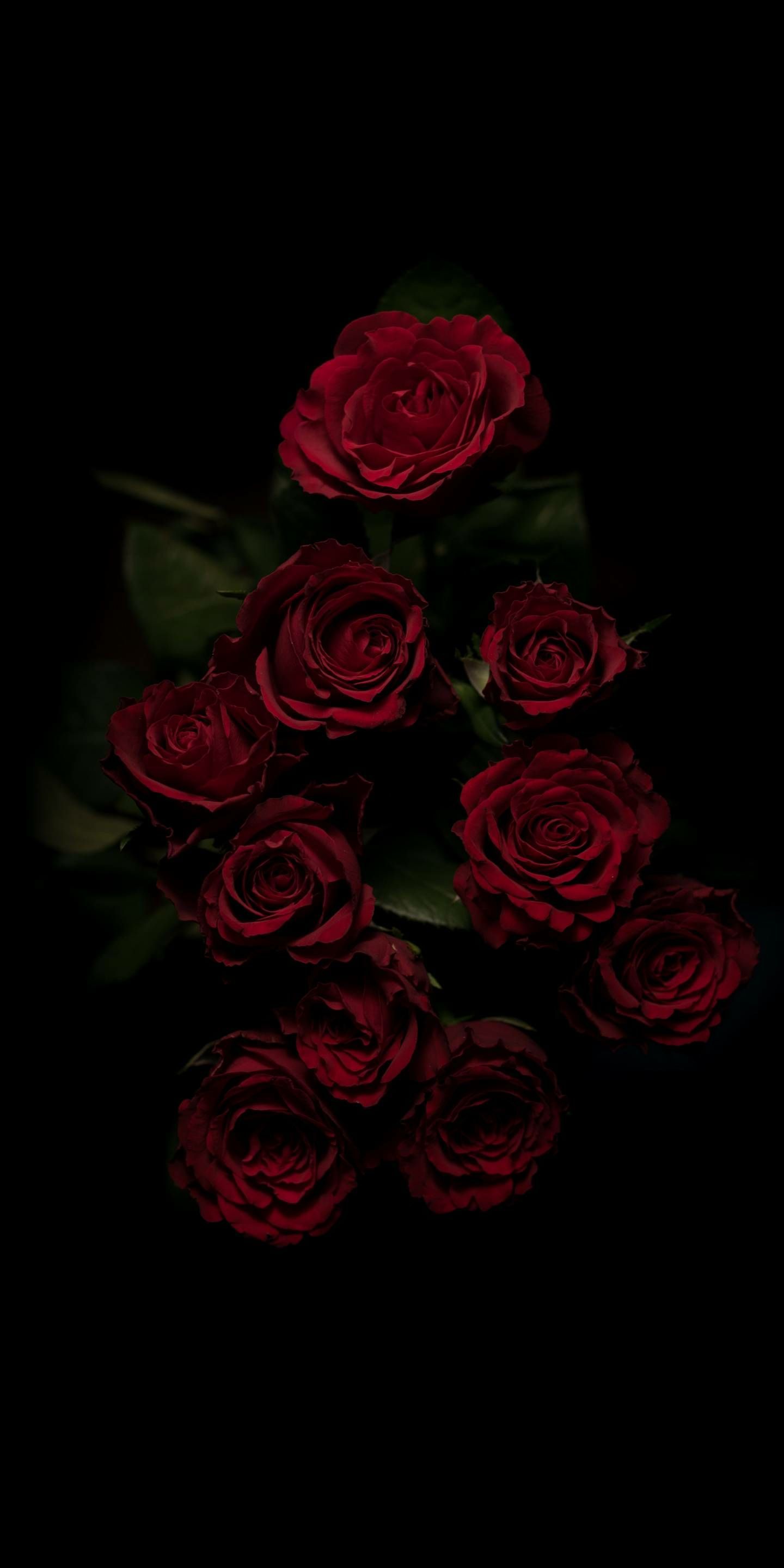 Dark Aesthetics. Rose wallpaper, Red roses wallpaper, Flowers black background