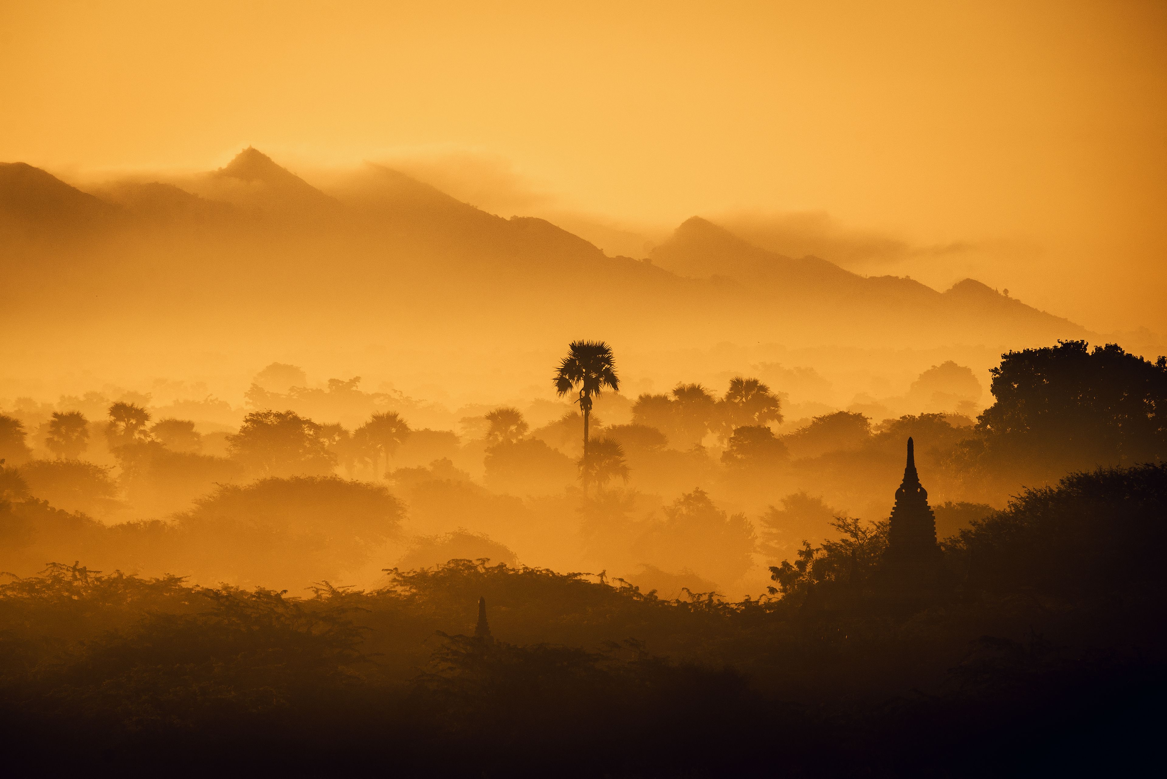 Myanmar Forest 4K Sunset Wallpaper, HD Nature 4K Wallpaper
