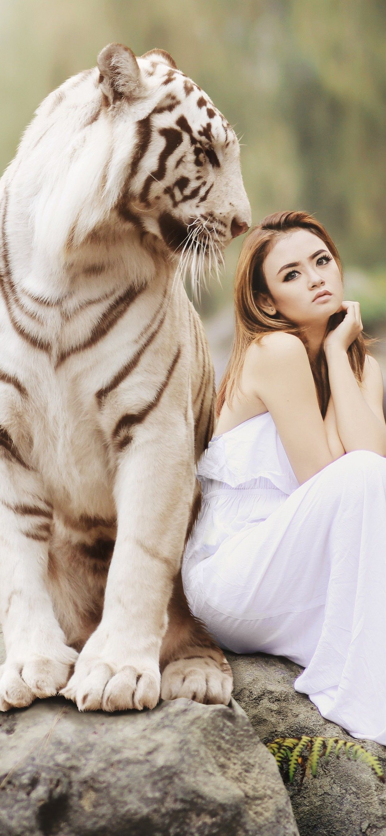 Girl With White Tiger 5k iPhone XS MAX HD 4k Wallpaper
