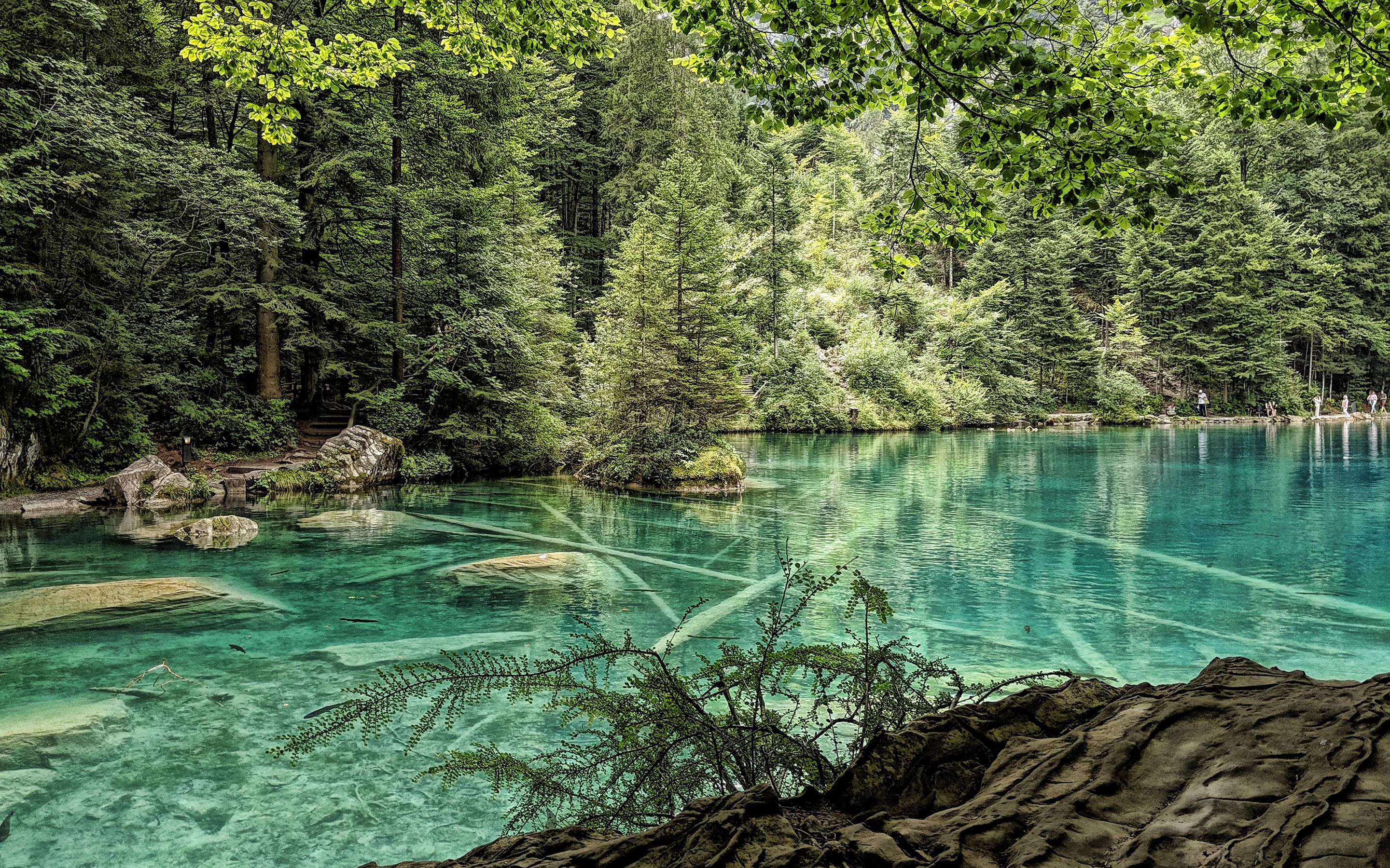 Download wallpaper Blausee, mountain lake, forest, mountains
