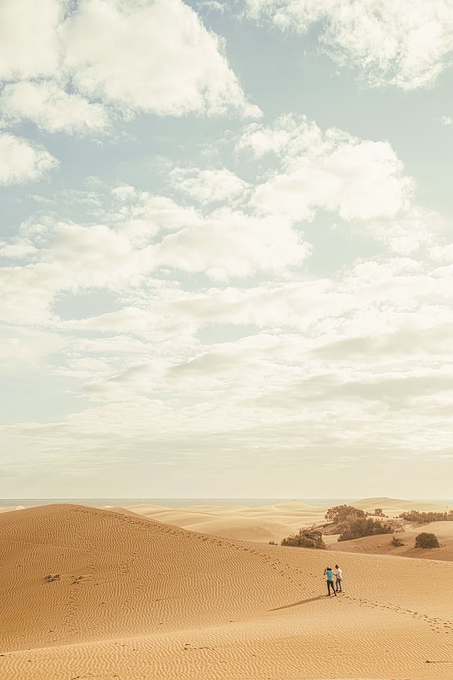 HD wallpaper: spain, maspalomas, dunes of maspalomas, nature