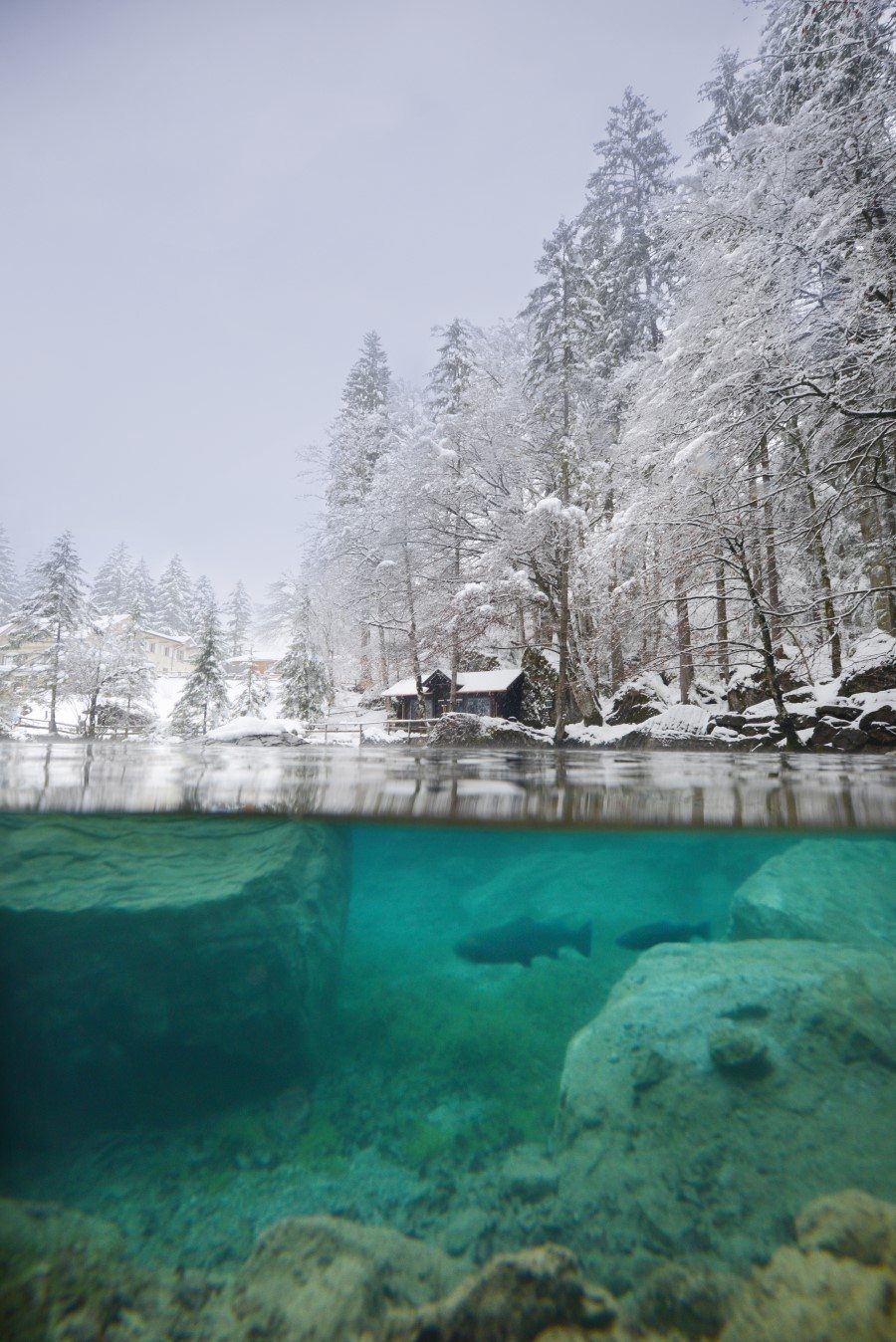 Behind the Lens: Lake Blausee, Switzerland Wandering Lens