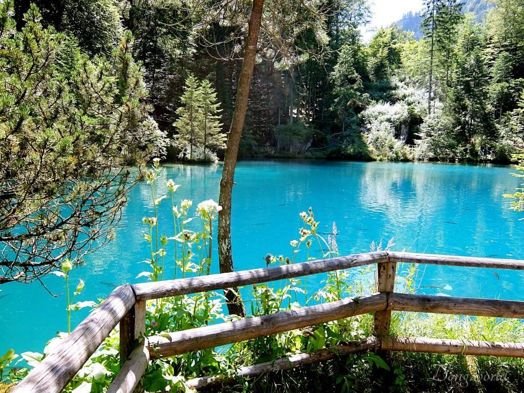 Blausee (The Blue Lake)