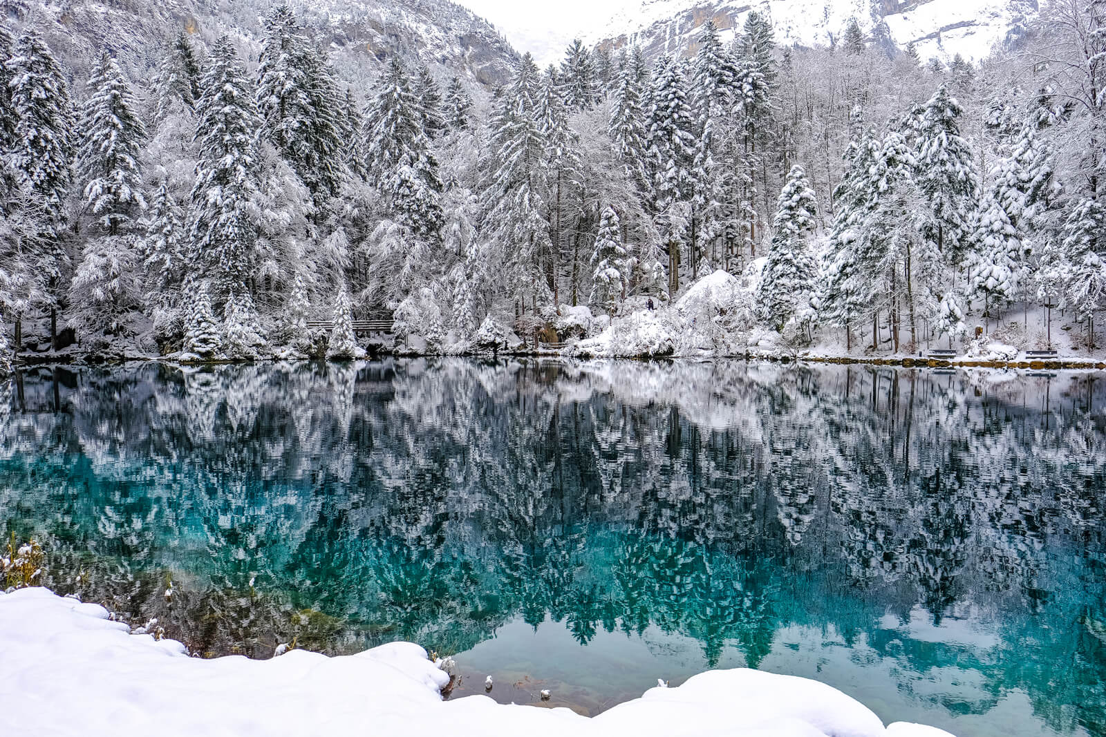 See why Lake Blausee is stunning during all seasons