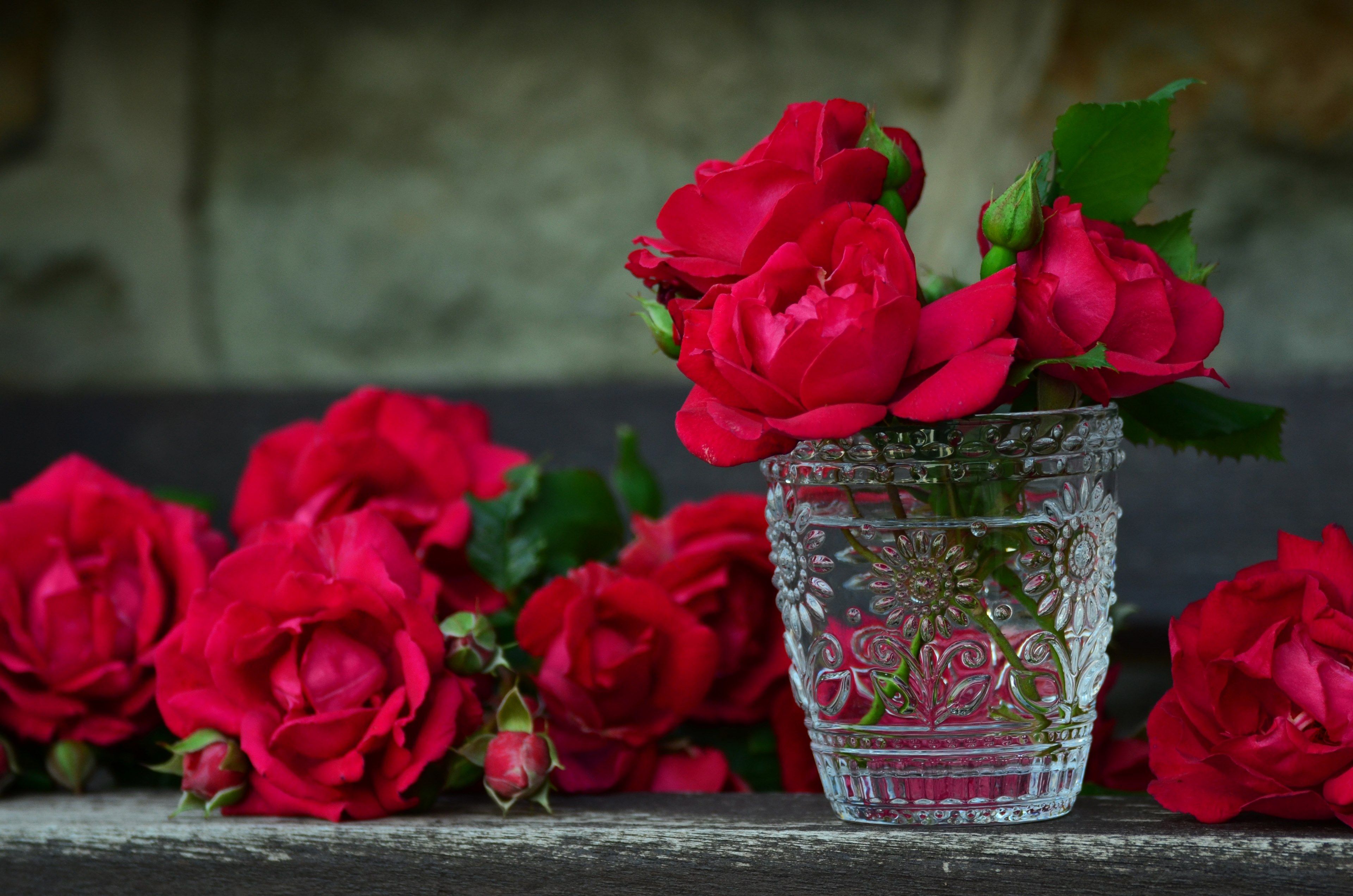 roses #red roses #bouquet of roses #glass #rose bloom 4k wallpaper