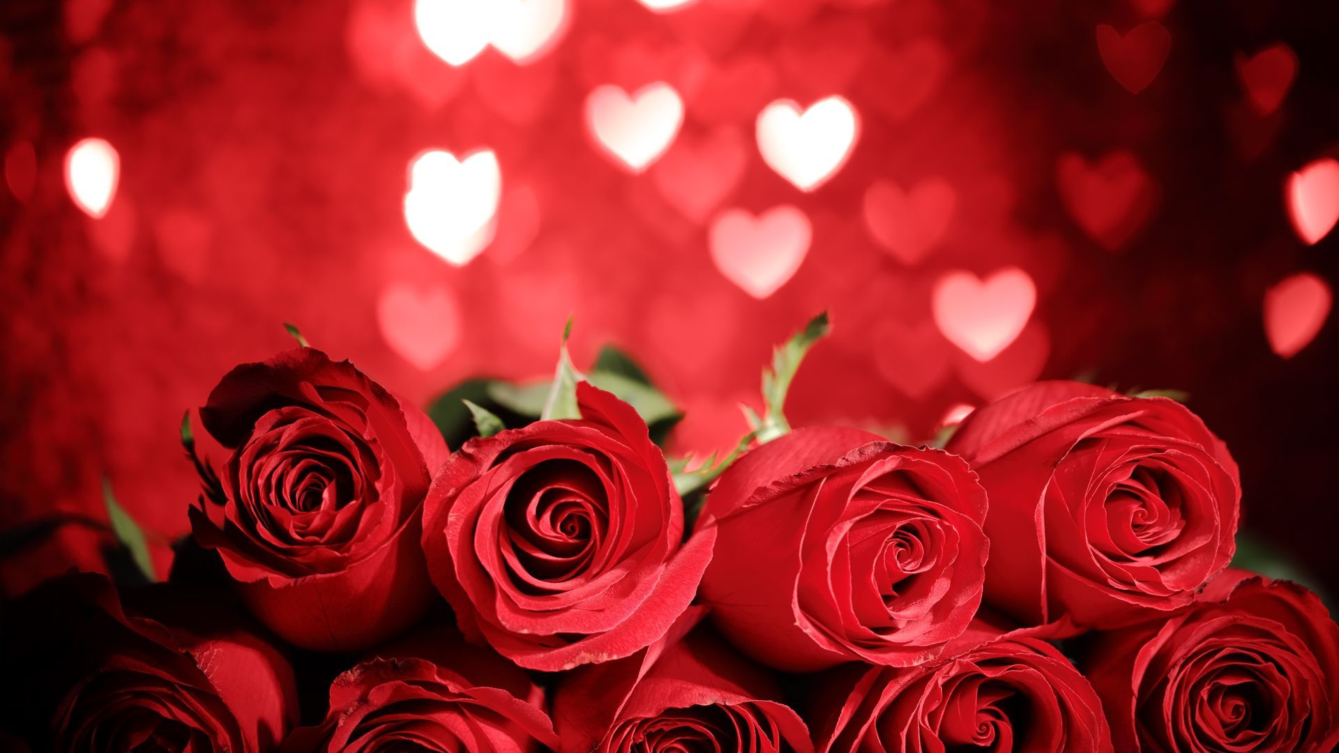 Red Rose With Hearts Free Download Image