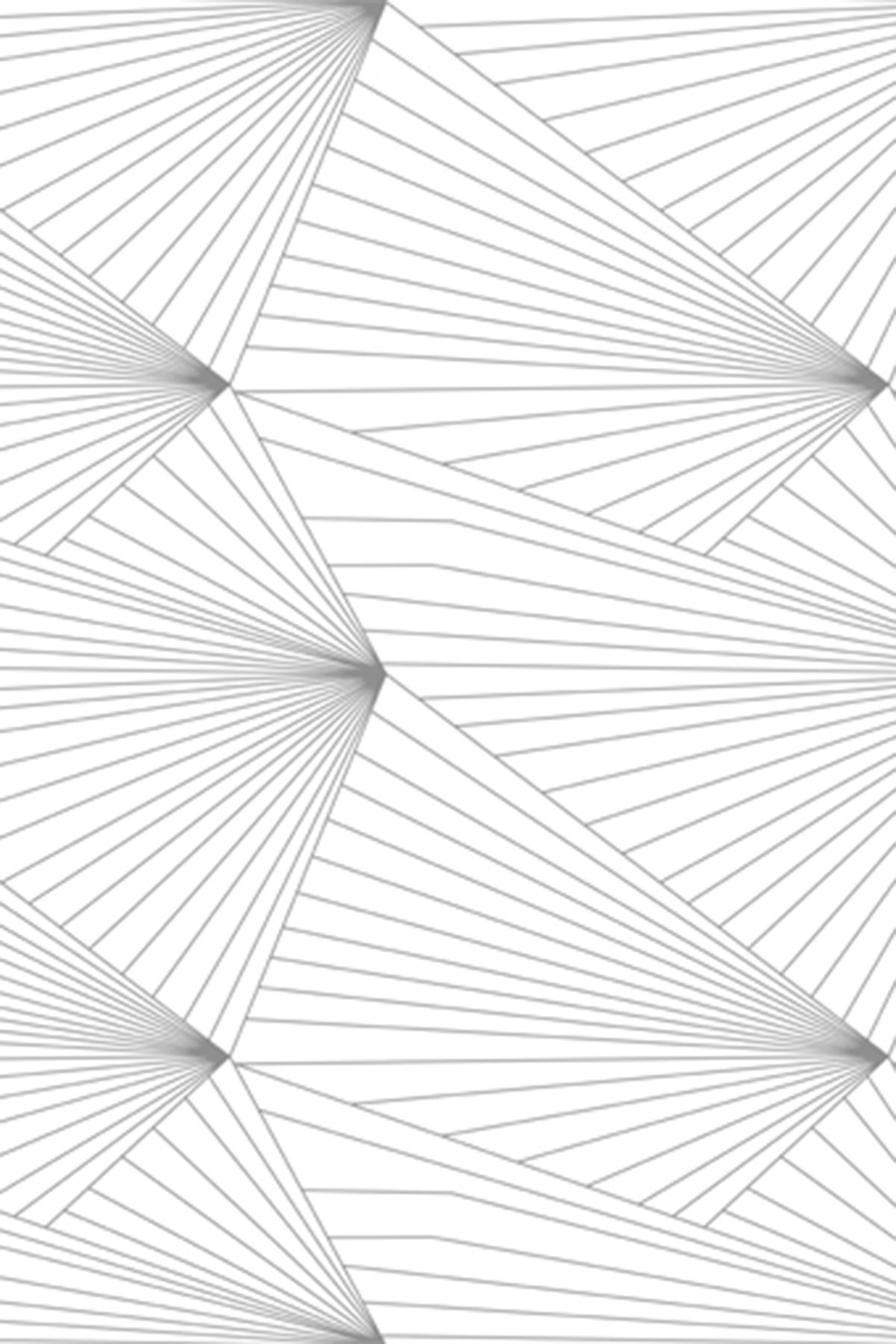 Fan Wallpaper White. Geometric wallpaper design, Geometric