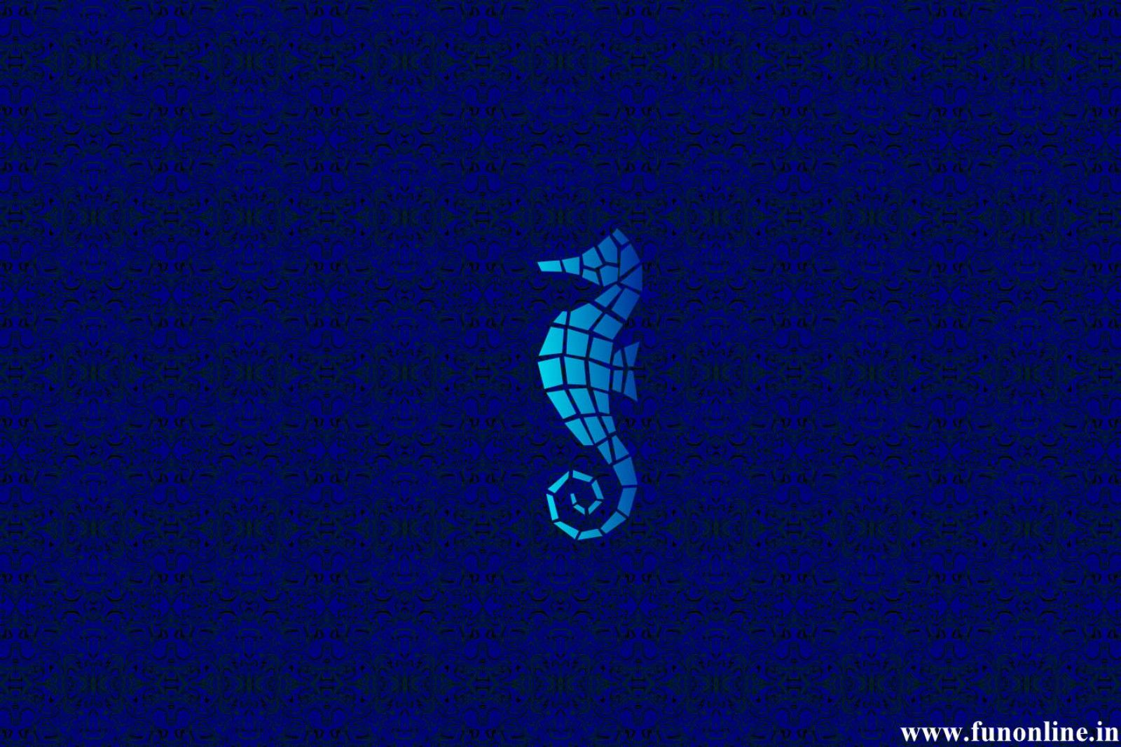 Free download Seahorse Wallpaper Download Cute Water Creature