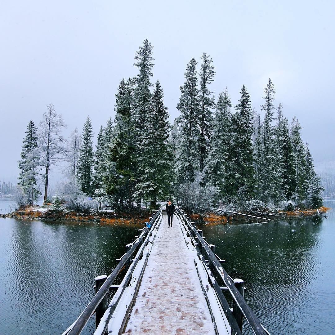 A bridge to a winter wonderland. Photo of Spirit Island on Maligne