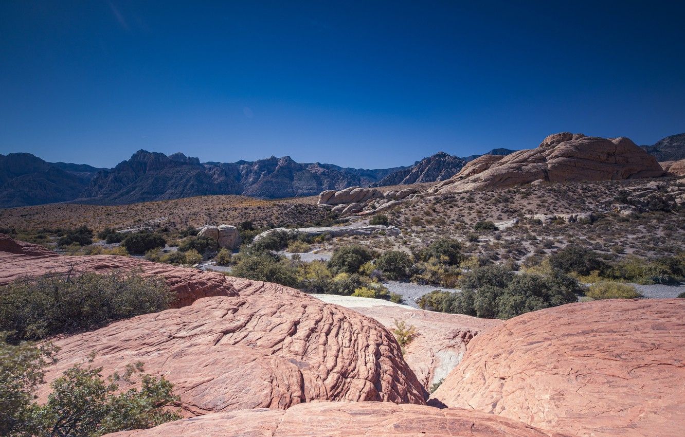 Wallpaper CA, USA, Mojave Desert image for desktop, section